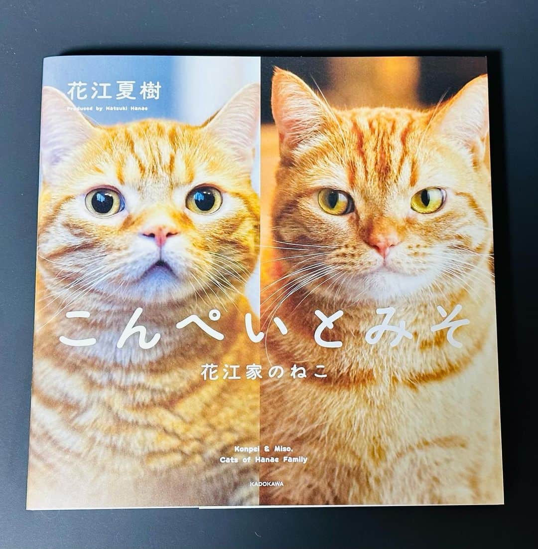 花江夏樹のインスタグラム：「本日発売です！ 宜しくお願いします！  https://www.amazon.co.jp/dp/4046802162/  https://books.rakuten.co.jp/rb/17297743/」