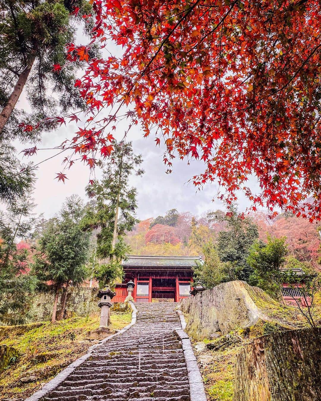 SHOCK EYEさんのインスタグラム写真 - (SHOCK EYEInstagram)「紅葉の妙義神社⛩🍁 大好きで何度も訪れている神社さん。  あの心臓破りの階段を登り切った後のご本殿が素晴らしいんだよね。  今年の紅葉はどんなだろう？ また近くご挨拶できるといいな。  #妙義神社 #神社 #群馬県 #gunmaprefecture #shrine #japantravel #japantrip #canon #canonR5 #beautifuldestinations #discoverjapan #discoverearth #voyaged #awesome_photographers #IamATraveler #wonderful_places #japanphoto #japanphotography #japan_of_insta #livingonearth #theglobewanderer」11月17日 11時58分 - shockeye_official