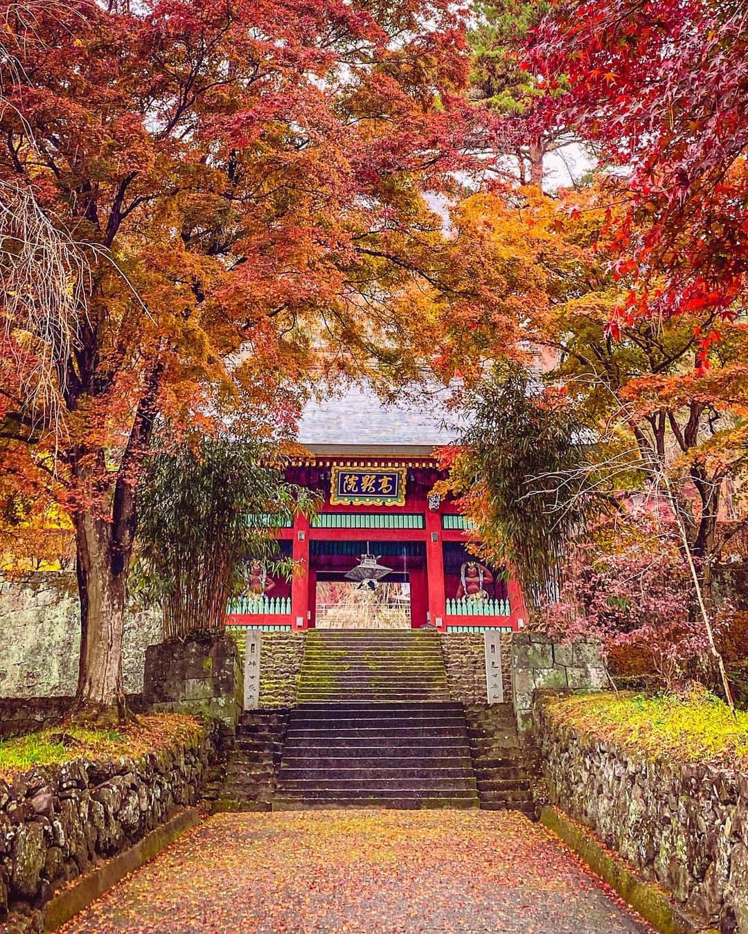 SHOCK EYEさんのインスタグラム写真 - (SHOCK EYEInstagram)「紅葉の妙義神社⛩🍁 大好きで何度も訪れている神社さん。  あの心臓破りの階段を登り切った後のご本殿が素晴らしいんだよね。  今年の紅葉はどんなだろう？ また近くご挨拶できるといいな。  #妙義神社 #神社 #群馬県 #gunmaprefecture #shrine #japantravel #japantrip #canon #canonR5 #beautifuldestinations #discoverjapan #discoverearth #voyaged #awesome_photographers #IamATraveler #wonderful_places #japanphoto #japanphotography #japan_of_insta #livingonearth #theglobewanderer」11月17日 11時58分 - shockeye_official