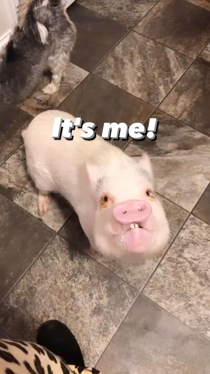 のインスタグラム：「Got snacks?! 😜」