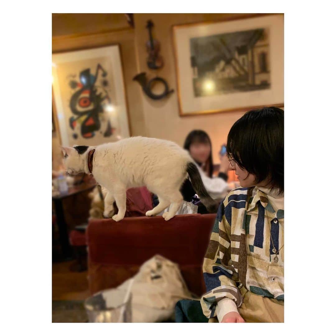 のインスタグラム：「🐈☕️」