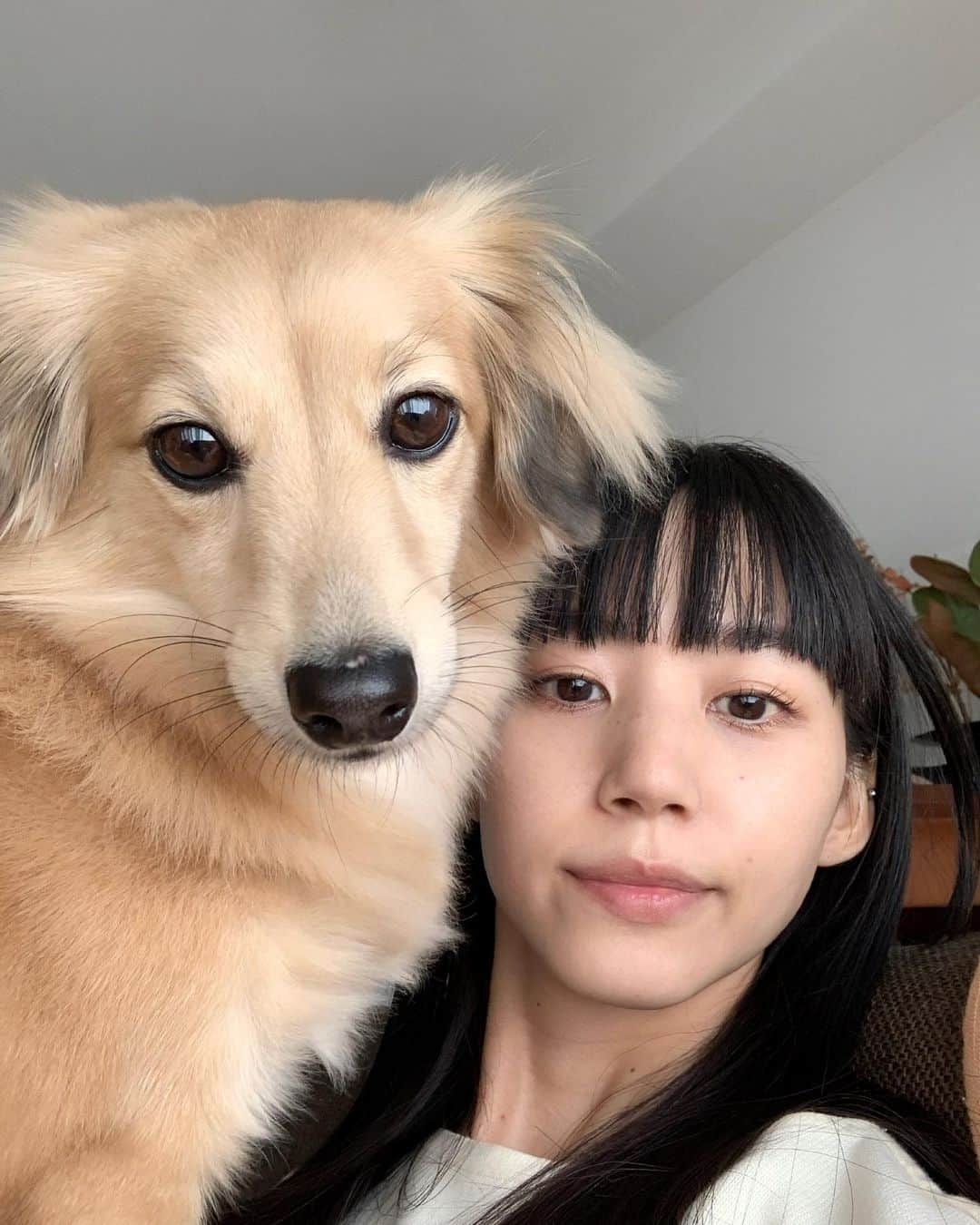 Shiho Sasakiのインスタグラム：「人間でいうと今ちょうど同い年くらいだね🐶👩🏻  #homesweethome」
