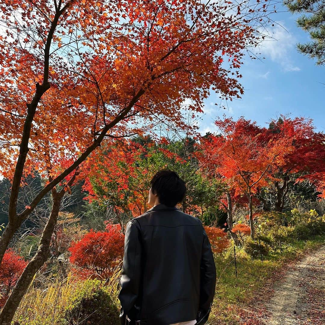 佐藤嘉人のインスタグラム：「地元の紅葉綺麗だった🍁 #佐藤三兄弟 #三つ子 #triplets #satotriplets #紅葉」