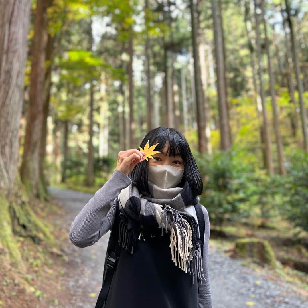 宮川美保のインスタグラム：「茨城県の御岩神社に行きました。 そば園佐竹でお蕎麦美味しかった。」