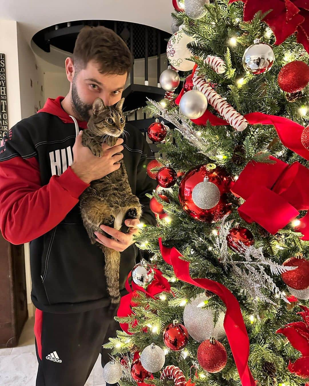 マリッサ・キングのインスタグラム：「Christmas decorating with these two tonight ❤️🎄🎁 I wonder if we’ll start finding pieces of the tree or ornaments around the house 😅 I can already see the look in her eyes.. 👀🐈  • • #christmasiscoming #favoritetimeofyear #christmastree #decorating #winter #snuggleweather #cuddleseason #catlover #catlife #cutecat #homedecoration #christmasseason #christmastime #christmaslights #merrychristmas #wintervibes #lovethembothsomuch #ourlittlefamily」