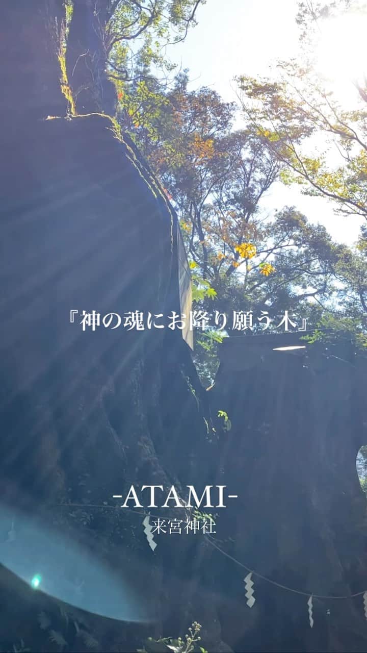 のインスタグラム：「#パワースポット#熱海#太古老#来宮神社」