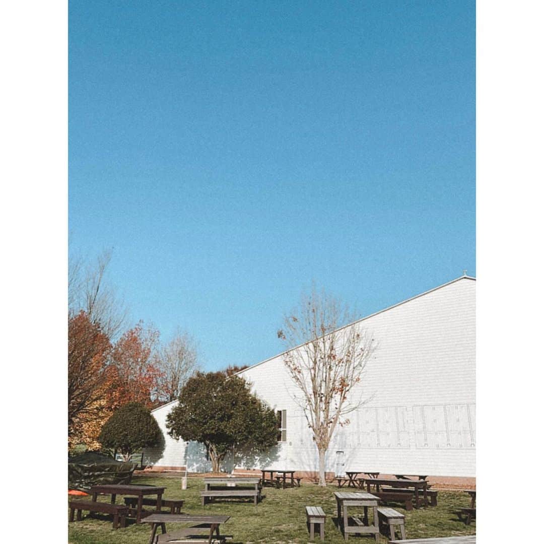のインスタグラム：「おはようございます☀️☁️ 今日もとても気持ちいい朝です🐴✨ ファームのみんなとおはようの挨拶をして、今はお誕生日に届いたメッセージを読ませていただいたり、ギフトを開封しております🤲🏻🎁✨  ファームまで直接届けてくださったかたや、遠くから贈ってくださったかた、インスタで素敵なメッセージを投稿してくださったかた。  私のことを想ってくれた気持ちと、私のためにかけてくれた時間、その全てに感謝の気持ちでいっぱいです😌🤲🏻✨  本当に本当にありがとう🤲🏻  これからも1日1日を大切に生きていきます😌🌷」
