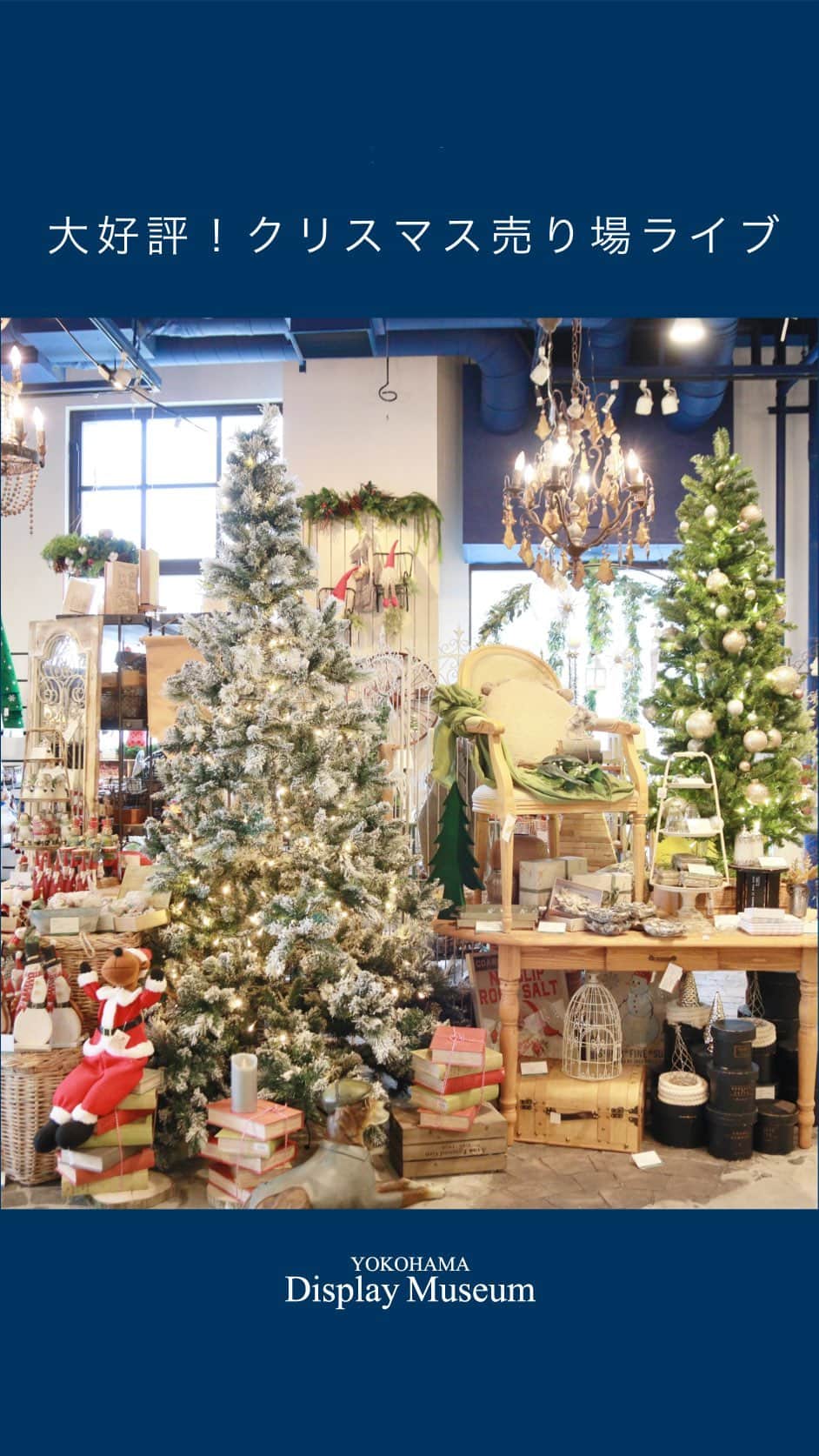 横浜ディスプレイミュージアムのインスタグラム：「【大好評！クリスマス売り場ご紹介ライブ第二弾！】  現在のクリスマス売り場状況をお届け！  人気の商品や、オススメラッピングアイテム、大小様々なツリーの ご紹介などをしております♪  また、11月26日(土)には クリスマスグッズが当たる 大抽選会も行います！ (ハズレ無し🎁) 続報お楽しみに😊  そしてそして 横浜ディスプレイミュージアムの クリスマス売り場は 12月9日までです☝️  気になる商品ございましたら お早めにご来店ください♪  ・  ディスプレイスタイリング専門アカウント @ydm_deco.styling : フェイクグリーンスタイリング専門アカウント @ydm_fakegreen.styling : アーティフィシャルフラワー専門アカウント @ydmarrangementline : 横浜ディスプレイミュージアム公式 ディスプレイ専門アカデミー @jdca_school  プチプチハッピープラス 株式会社ポピーが運営♪ 全国の100円ショップで展開中♪ @puchihapi  please follow me🌸 팟로우 해 주세요🌼  #横浜ディスプレイミュージアム #横浜 #ディスプレイ #フェイクグリーン #グリーン #クリスマス #クリスマス雑貨 #クリスマスインテリア #クリスマスパーティー #クリスマス飾り #手作りクリスマス #空間演出 #インテリア#インテリア雑貨#ドライフラワー#造花#秋#冬#北欧インテリア #アーティフィシャルフラワー #クリスマスツリー#クリスマスアレンジ#yokohama#flowerarrangement #interiordesign #artificialflowers」