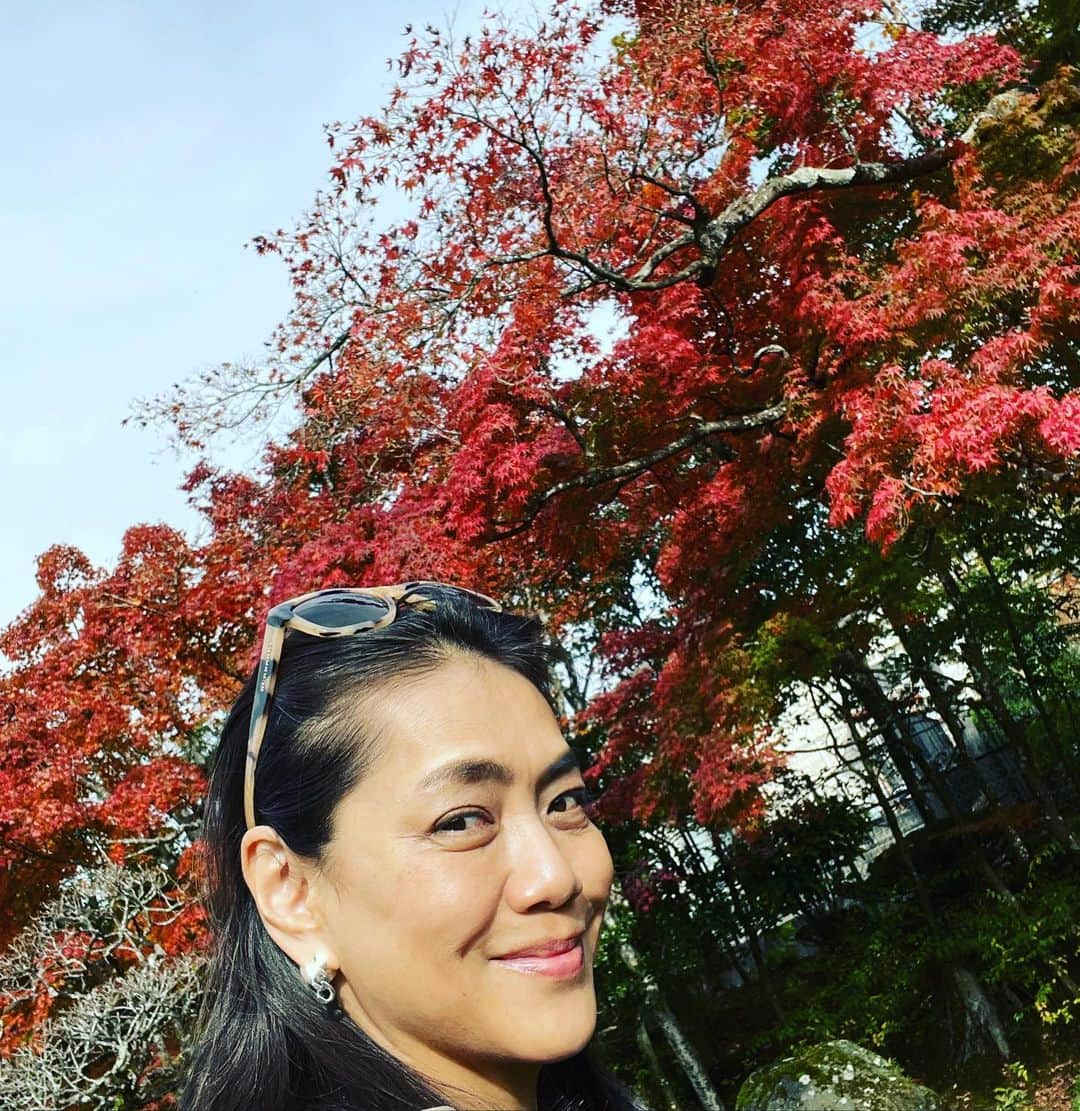 前田典子さんのインスタグラム写真 - (前田典子Instagram)「#紅葉🍁🍂  #お蕎麦 #遊季庭かわ嶋  #海老天🦐大きい  #海老天そば  お庭が広い❣️ 待ち時間も日本庭園をお散歩できる🍁 #御殿場 #マエノリグルメ」11月18日 12時22分 - maenorichang