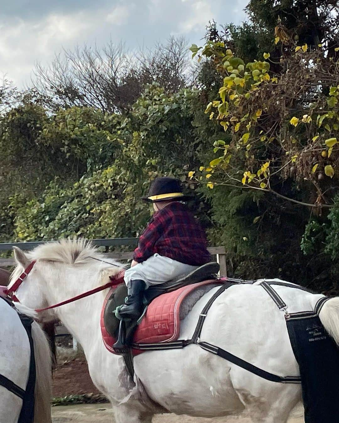 カン・ヘヨンさんのインスタグラム写真 - (カン・ヘヨンInstagram)「엄마는 당연히.. 조랑말 태워줄줄 알았짘ㅋㅋㅋㅋㅋㅋㅋ🐎  근데 넌 진짜 쩐다 훈아..  #28개월아기 #승마 #애기승마 #제주여행 #세살승마」11月18日 12時40分 - mangdoo_noona