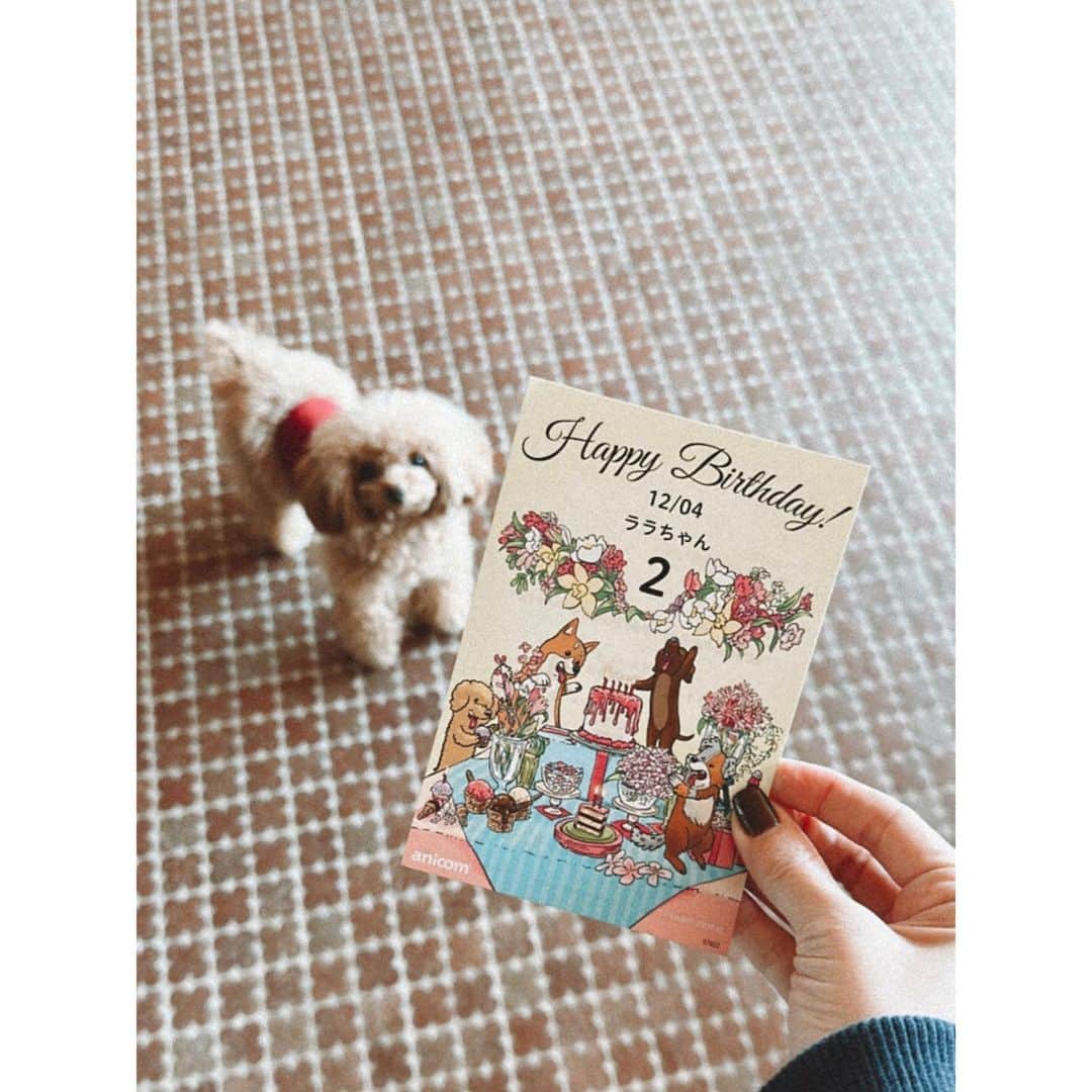 のインスタグラム：「もうすぐあなたもお誕生日だね😌🌷✨ @laramiofficial」