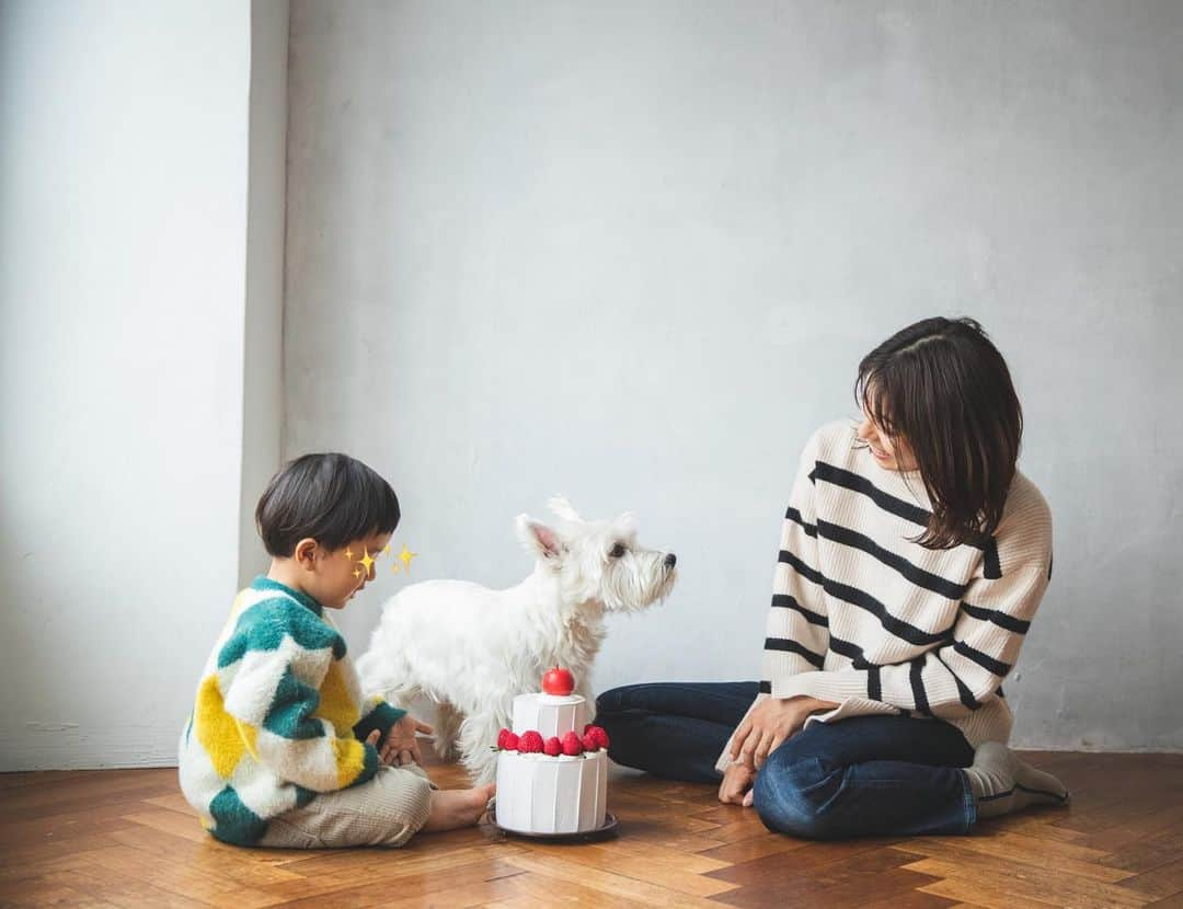 山崎愛香さんのインスタグラム写真 - (山崎愛香Instagram)「. だいぶ日が経ちますが 息子が2歳になりました🎂 ということは私達夫婦も 親になってようやく2年。 わんこ2匹と子ども1人、大人2人の生活を毎日試行錯誤しながらなんとか作り上げている途中ですが、そんな我が家の「今」を陽子さんに切り取って頂きました。 我が家らしいわちゃわちゃした感じが陽子さんの温みのある写真になるとこんなにほっこりしたものになるのかぁ☺️と家族みんなで毎日毎日見返しています❤️ 息子が「今」好きなプラレールと電車、その周りにはいつも2匹がちょこちょこ歩き回ってて... そんな我が家の「今」を残せて良かった❤️ 一緒に「ママ」の顔した自分も見れて面白い。子ども達を見る自分はこんな顔してるんですね🤭 噂のイヤイヤ期に不安を抱きつつ(笑)2歳の息子とも全力で遊んで沢山電車を見に行きたいと思います🚃 我が家の電車ボーイお誕生日おめでとう！ #2歳のお誕生日 #男の子ママ #こどもといぬ #家族写真 #多頭飼い #画像チェックする犬 #ウエスティ #ミニチュアシュナウザー #黒シュナ」11月18日 13時11分 - manaka_yamazaki