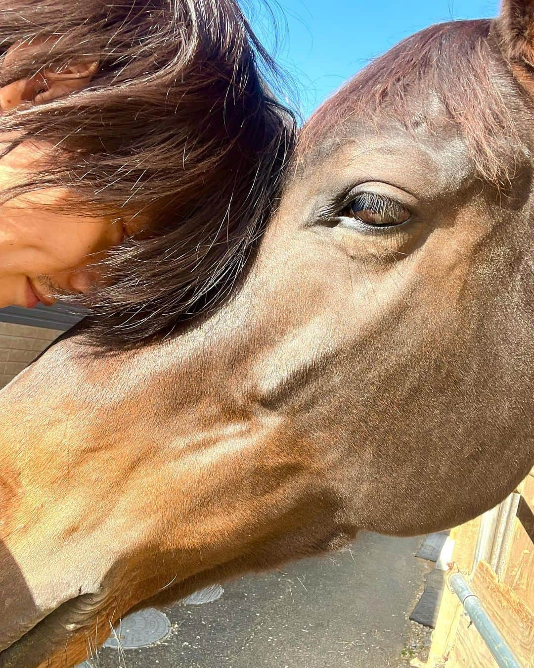 宇野結也のインスタグラム：「🐴 心も体も癒されました。 いつか映画で乗りたいね〜 鍛錬鍛錬  #乗馬 #馬」