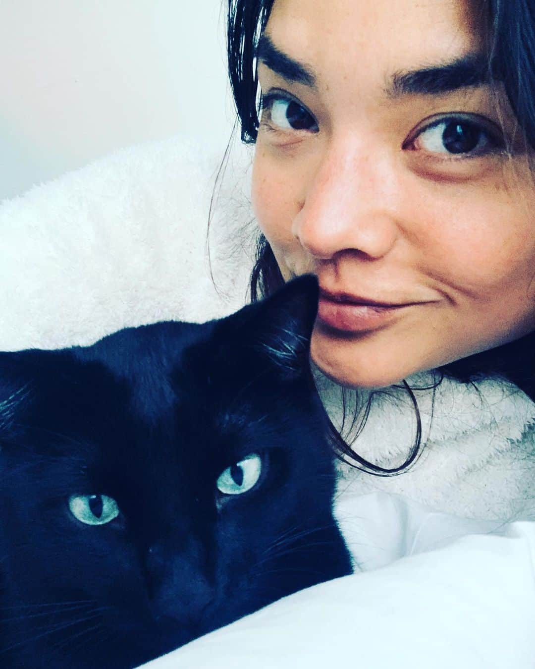 加賀美セイラのインスタグラム：「I never knew cats can be this cute 😻😻😻. #NeverHadACat I’m liking the cats more than dogs now🫶 猫ってこんな可愛いかったのーーー知らなかったぁ😱😽😽　#猫派になりそう」