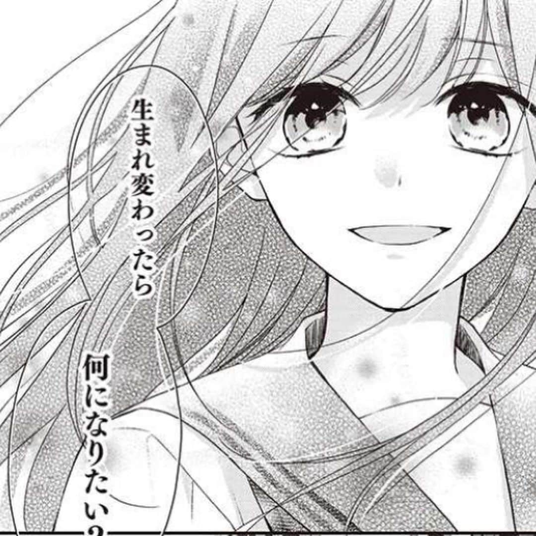 杏堂まいのインスタグラム：「【おしらせ】 pixivコミック、comic poolにて 「さよなら嘘つき人魚姫」第4話が更新されました！  今回は羽澄目線の回。 二人の事情が少しづつ明らかになってきました…！  原作でもこのあたりから「お…！おお…！？」となっていく章です。 ぜひ漫画でも読んでください🙇‍♂️  #さよなら嘘つき人魚姫 #塩見夏衛 #杏堂まい #漫画紹介」