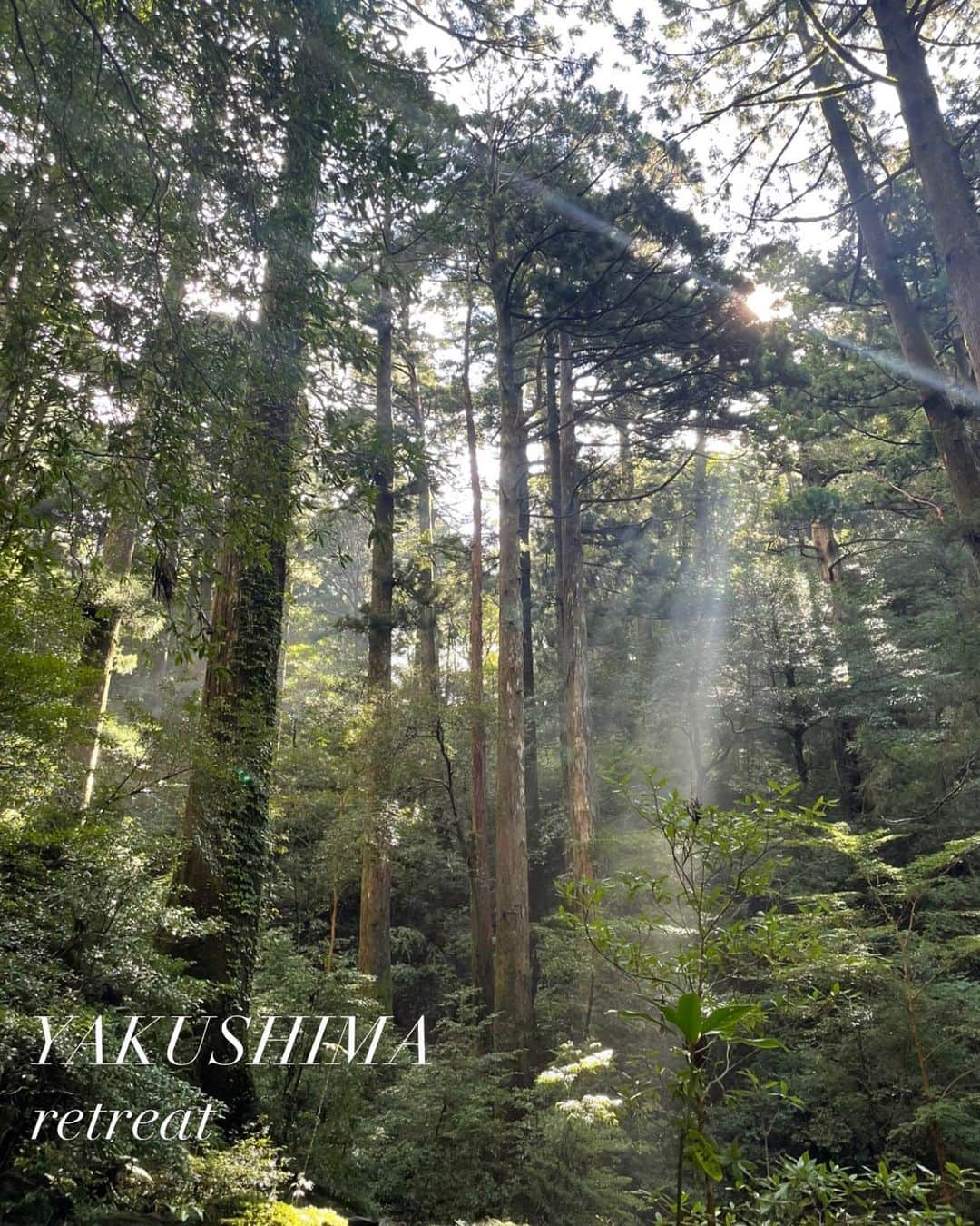RiRiのインスタグラム