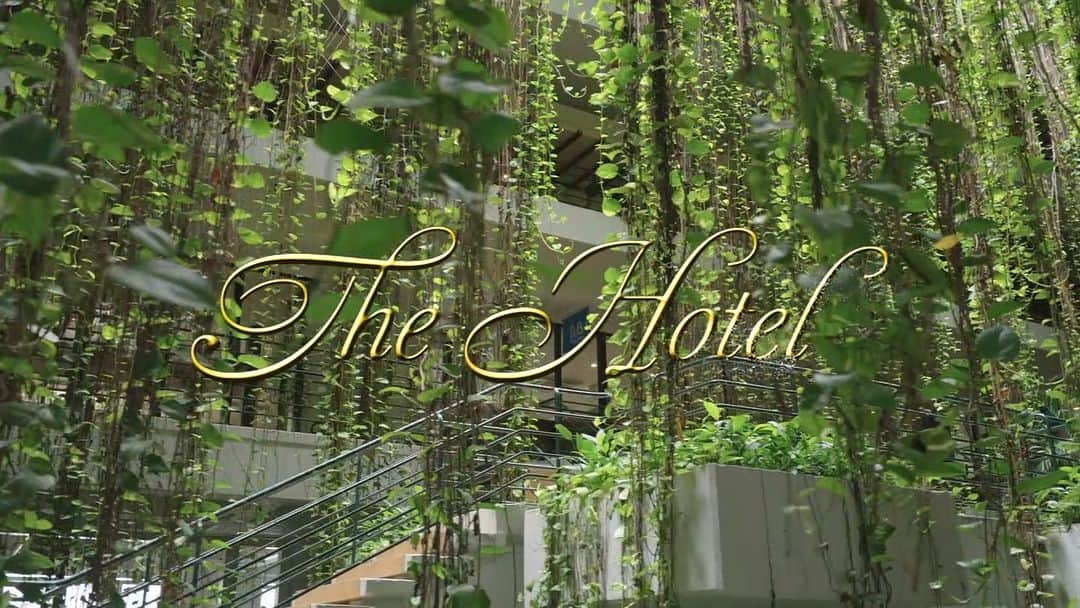 のインスタグラム：「先日ＱＡＢ琉球朝日放送「The Hotel」にてホテルムーンビーチが紹介されました。 番組にて放映された映像を今日、明日の２回に分けて投稿いたします。 当日ご覧になった方、まだご覧になっていない方もぜひご覧くださいませ。 （番組の二次利用は関係先の許可を頂いております）  #ムーンビーチ #リゾート #沖縄 #沖縄観光 #沖縄ビーチ #沖縄旅行 #恩納村 #沖縄好き #沖縄好きな人と繋がりたい #写真好きな人と繋がりたい #旅行好きな人とたい #旅行 #japan #okinawa #okinawabeach #okinawatrip #onnason #visitjapanjp #hotelmoonbeach #moonbeach #リゾート好きな人と繋がりたい #アジアンリゾート」