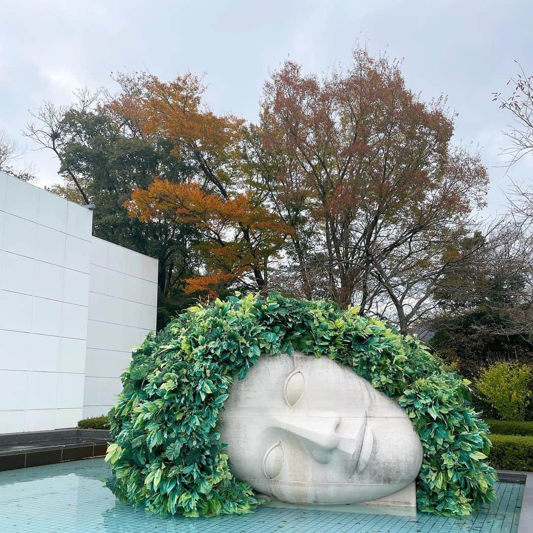 池田星来のインスタグラム