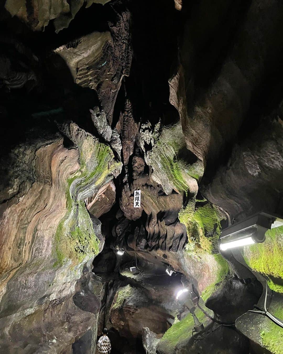 朝井麗華さんのインスタグラム写真 - (朝井麗華Instagram)「洞窟と巨乳  北九州市にある国の天然記念物指定されている平尾台 千仏鍾乳洞へ。小学1年生の時に行き、とても神秘的でカッコよくてワクワクしまくりで、ずっとまた行きたかった場所。  自然って本当にすごい！ これが天然でできるなんて…！！  洞窟の中はしっとり涼しく、今も進化し続けている様が見て取れる。この雫型につらなった巨乳岩は何年かけてできたのか？？  鍾乳洞には 「乳」と名の付く箇所〟が2つあった。 ・初音乳 ・巨乳  ところで、不思議で仕方ないのが 「おっぱい」とか乳房に関する話題は下ネタとか性的だとかいって特別視されたり、卑猥だと遠ざけられたりするけど、遥か昔から自然にはこうやって「乳」と表現され残っているものは多くある。  太鼓の昔は女性神で土偶に乳は聖なる象徴だったし、ほとんどの人間がおっぱいをいっぱい飲んで育ったから人間は生き継がれた。要は皆、おっぱいはルーツ！！！  なのに、 なぜ、  おっぱいに恥や卑猥さを重ねるのだろう🤔 誰にでもあるおっぱい。  事実はひとつ 解釈は無数  むしろこれを特別視する方が卑猥だ！  《誰がためのバストか》  おっぱいは『日常』。　　 by 番長  🌼  さて、話は変わって、  自然は角が取れ、丸く・曲線。 不自然は角張り、角と直線。  当たり前だけど、 自然から遠のくほど、 不自然になる。  私たち人間も元は動物で自然の生き物。だから自然から遠のけば不自然な状態となり、心も身体も不自然になるのは当たり前なことなのに、現代人の多くはそれを忘れている。  カクカクした建物に住み、 カクカクした物を所有し、 不自然な道具を使い、 不自然な食べ物を食べる。  よくタイミングやバツが悪いことを 〝間が悪い〟 というが、  それは『自然じゃ無い』証拠。 不自然な状態の時に、〝間〟が悪くなる。  【間＝循環】  （血液循環/氣の流れ/生体エネルギー/リンパ液/脳脊髄液　etc. の巡る様）  そういう時って、何か起きたら『試練』と捉え、悩み、苦しみ、心を病み、身体を壊す。  でも本当の試練は、最高に自然な状態で、起きたことに対して平和でいられること。  自分の中をまっすぐにすること。 自然体でいること。 これがほんとうは人間の目指すところ。  洞窟の中は 大自然だった。  #自然体 #健康 #おっぱい」11月19日 3時44分 - reikaasai