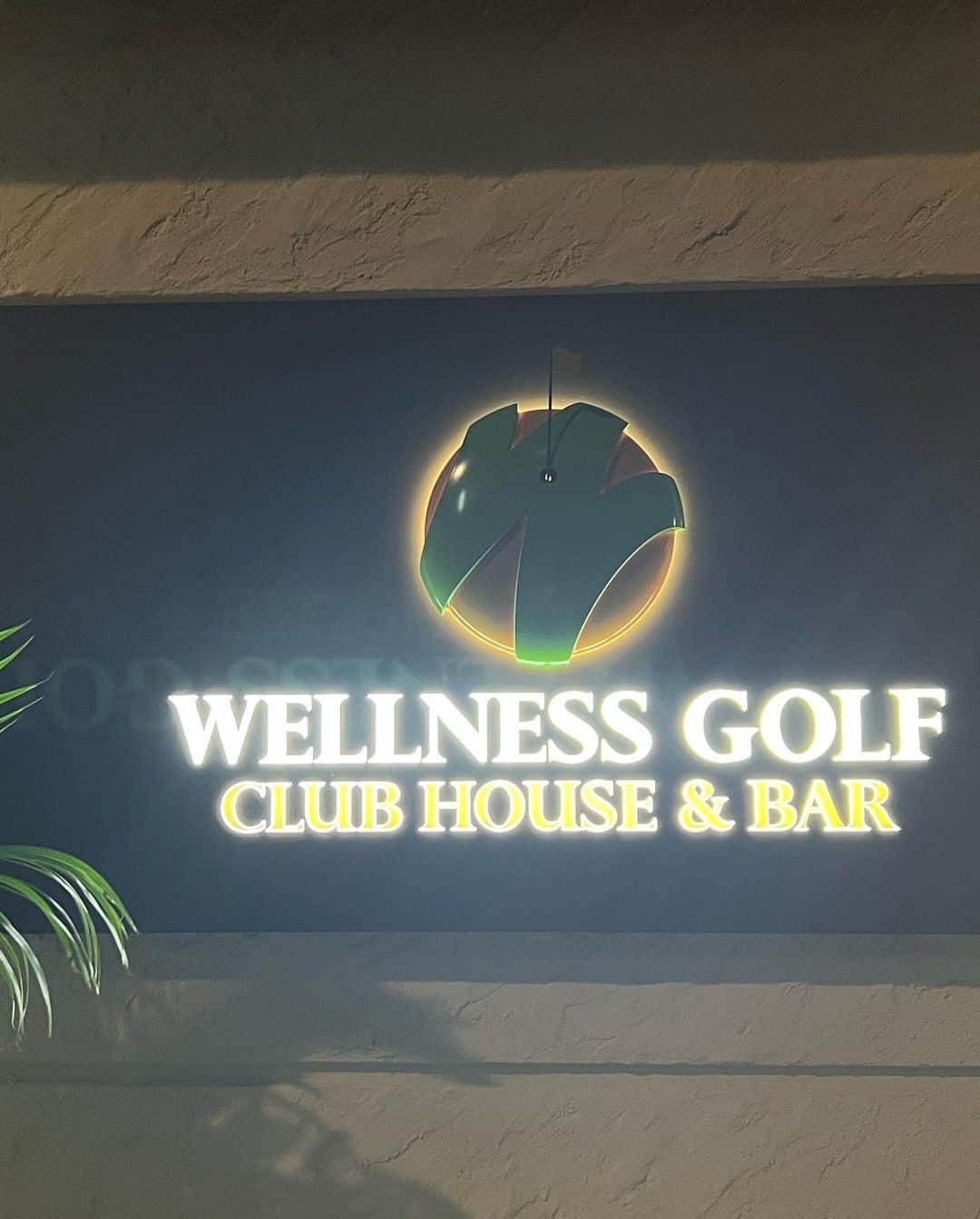 ImotoEtsuyo さんのインスタグラム写真 - (ImotoEtsuyo Instagram)「#おはようございます @wellness.golf の 2号店へ。  2号店は銀座7丁目。 BARルームとゴルフレンジが 1組貸切で使えるという贅沢な空間。 接待やデートにも良いですね。  クラブはもちろん、 シューズやグローブも用意されています。  ケータリングもでき @ginzatoyomitu の 黄金の鶏白湯スープ、 フカヒレの姿煮が 美味しすぎて…   また続きは投稿しますね。  ・ #ゴルフウェア は @lanvin_sport_official  #ランバンスポール ・ #ピアス　➡︎ @pluster.jp   ・  @wellness.golf  1号店 中央区銀座4丁目3-9 天賞堂ビル10階 銀座駅B2出口より徒歩1分  2号店 CLUB HOUSE & BAR ウェルネスゴルフクラブハウス&バー 中央区銀座7丁目5-15銀座AG1ビル1階 銀座駅より徒歩4分  #シミュレーションゴルフ  #ゴルフ #golf #ゴルフバー  #ウェルネスゴルフ #wellnessgolf  #銀座ゴルフ #ginzagolf  #銀座シミュレーションゴルフ  #インドアゴルフ #室内ゴルフ  #ゴルフ女子  #ゴルフ好き  #ゴルフ好きな人と繋がりたい #神戸ワイン #トラックマン」11月19日 7時54分 - bisuhada