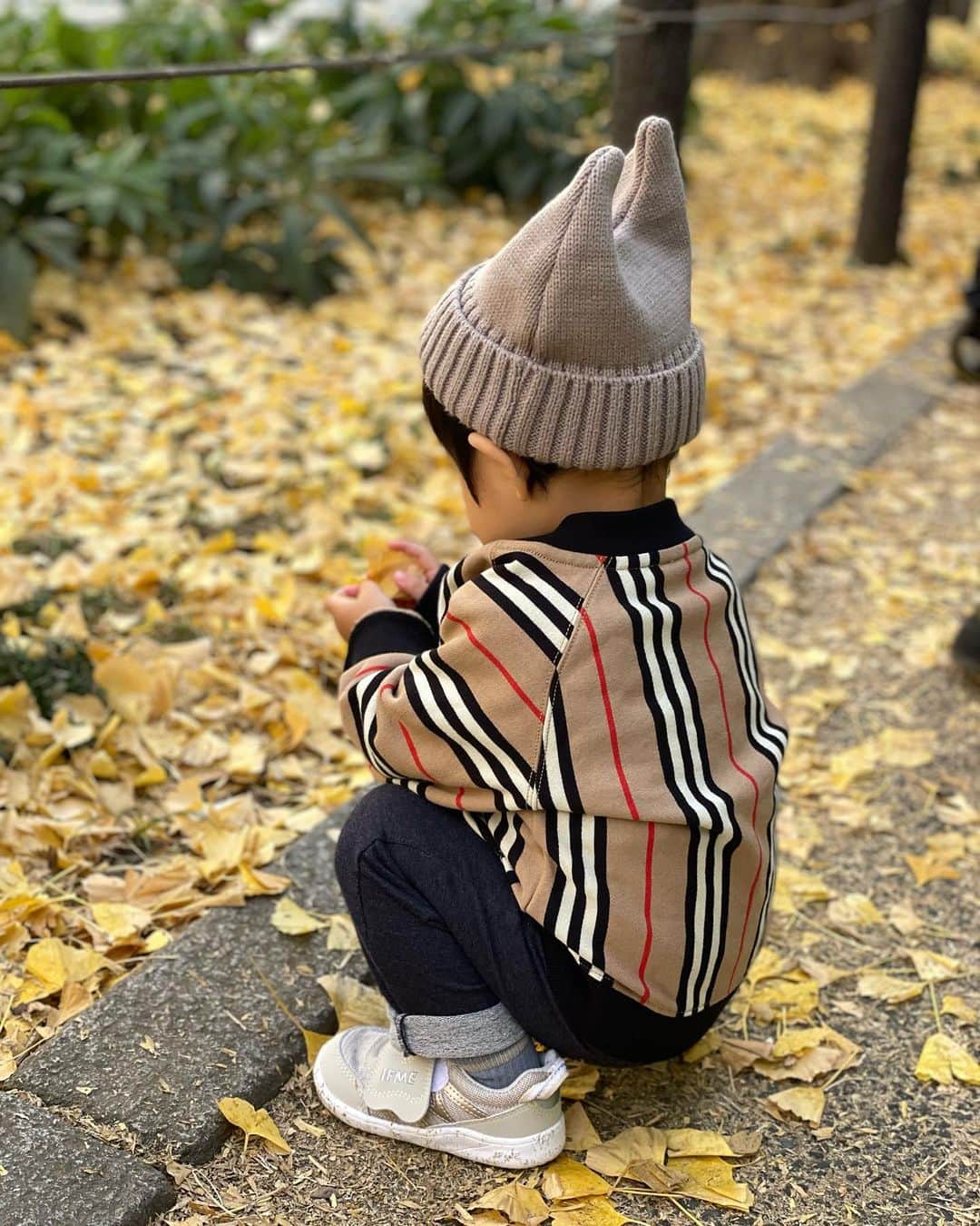 葉加瀬マイのインスタグラム：「最近は言葉をたくさん話せるようになって色も覚えました😊「きいろー、はっぱ、はっぱ」と言いながら楽しそうに遊んでました🍁❤️  #1歳8ヶ月　#男の子ママ」