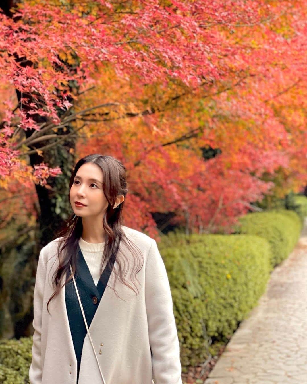 May J.のインスタグラム：「来週の「朝だ!生です旅サラダ」に出演するよ〜🤎 私の石川県への旅が放送されます✨ 紅葉が信じられないくらい美しくて、美味しいものもたくさん頂き、やりたかったことや行きたい場所にたくさん行けて最高に楽しい旅でした🍁 絶対にみてね🤎  放送のあとは阪急西宮ガーデンズでミニライブをします！ここでライブすること、そしてインストアライブをするのもかなり久しぶり🥹✨ 観覧は無料なので是非会いに来てね✨特典会もあるよ！！！  詳しくはこちら↓  『May J.』Gardens 14th Anniversary Special Live  Newカバーアルバムをお求めいただいたお客様を対象に特典会も実施いたします。   【開催日程】 2022年11月26日(土)14:00～ ※当日のCD販売開始時間:10:00～   【会場】 阪急西宮ガーデンズ 本館4階スカイガーデン・木の葉のステージ 〒663-8204西宮市高松町14番2号 http://nishinomiya-gardens.com/access/   【内容】  ミニライブ&特典会(直筆サイン入りアナザージャケットのお渡し会)  開催時間：14:00〜  #旅サラダ #石川県」