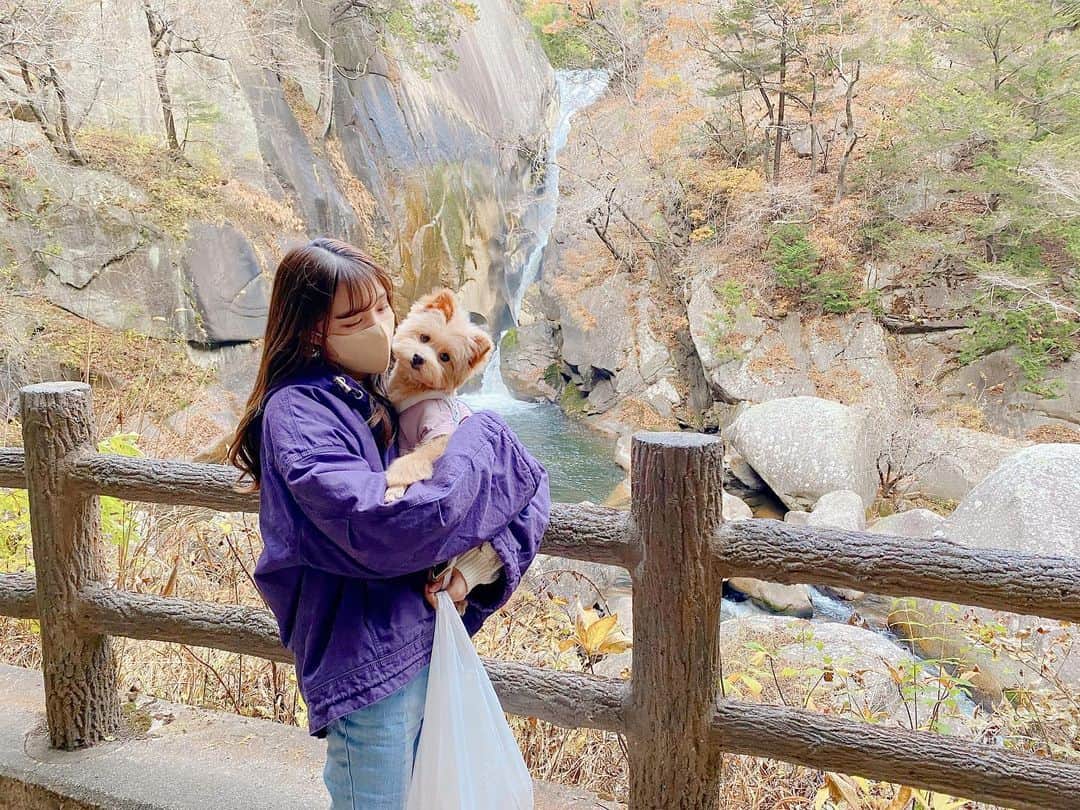 のインスタグラム：「最近のお話☺️ . . 気付いたら インスタお久しぶりになってました🙂 . . バタバタの毎日で お休みの日は予定を詰め込んで あっとゆー間に毎日が過ぎていきます🫶 . . 最近は、 山梨県の昇仙峡にわんこと紅葉を観に行ったり、 詩音先生　@sbc_shion.h  のところでお肌のメンテナンスをしていただいたり、 （久々にお会いした先生はまた一段と綺麗になっててお肌もとぅるとぅるで憧れのお姉様です🥰❤️） ぷるぷるな水信玄餅を食べたり、 軽井沢に行って2回目のトンボの湯でサウナを堪能したり、 日々充実しています😂 （遊んでるだけじゃなくて、 毎日しっかりお仕事も頑張ってるよ！笑） . . 皆さんはどんな毎日過ごしてますかー？☺️ . . 今年もあとちょっと頑張れば わたしの大好きなクリスマス🎄❤️✨ . . 2022年、ラストスパートがんばろう☺️🫶」