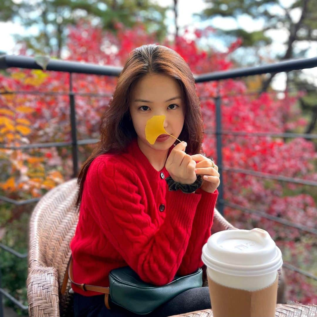 レイチェルのインスタグラム：「넘 예뻤던🍁♥️」