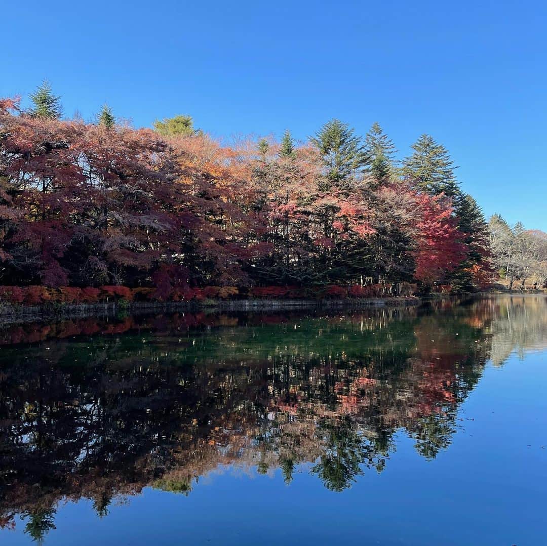 久保りささんのインスタグラム写真 - (久保りさInstagram)「Colours of the autumn🍂 #karuizawa #hotelindigo  秋っていろんな色に溢れてるのね  仕事で行った軽井沢で見つけた秋の記憶。  #lissa_hotel」11月19日 22時10分 - lissa_kubo