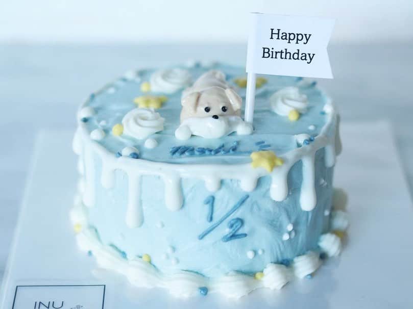 畠山茉央のインスタグラム：「．  もちのケーキデビューは INU CAKEさんのもの🎀🎂  ．  #inucake #犬用ケーキ #犬のお菓子」