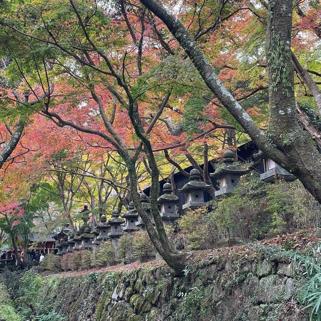 小嶋晶子のインスタグラム：「紅葉狩りに談山神社へ⛩国の重要文化財である十三重塔越しの紅葉を愛で眼福🍁こちらの神社の主祭神は藤原鎌足公。藤原鎌足といえば、元中臣鎌足。 「中臣鎌足… コーヒーモカマタリ…」 中臣鎌足の名前を見ると、どうしてもラーメンズのコント「日本語学校アメリカン」を思い出し声に出して言いたくなる。 「中臣鎌足… コーヒーモカマタリ…」  My hubby and I went to Tanzan Shrine. The present pagoda is rebuilt in the 16th century. In Tanzan Shrine there are many Important Cultural Property Buildings and also the only wooden thirteen- storied pagoda in the world. And here is famous for cherry blossoms in the spring and for the colored leaves in the autumn.  #談山神社 #十三重塔 #藤原鎌足 #紅葉 #奈良 #日本 #tanzanshrine #nara #japan #⛩ #🇯🇵」