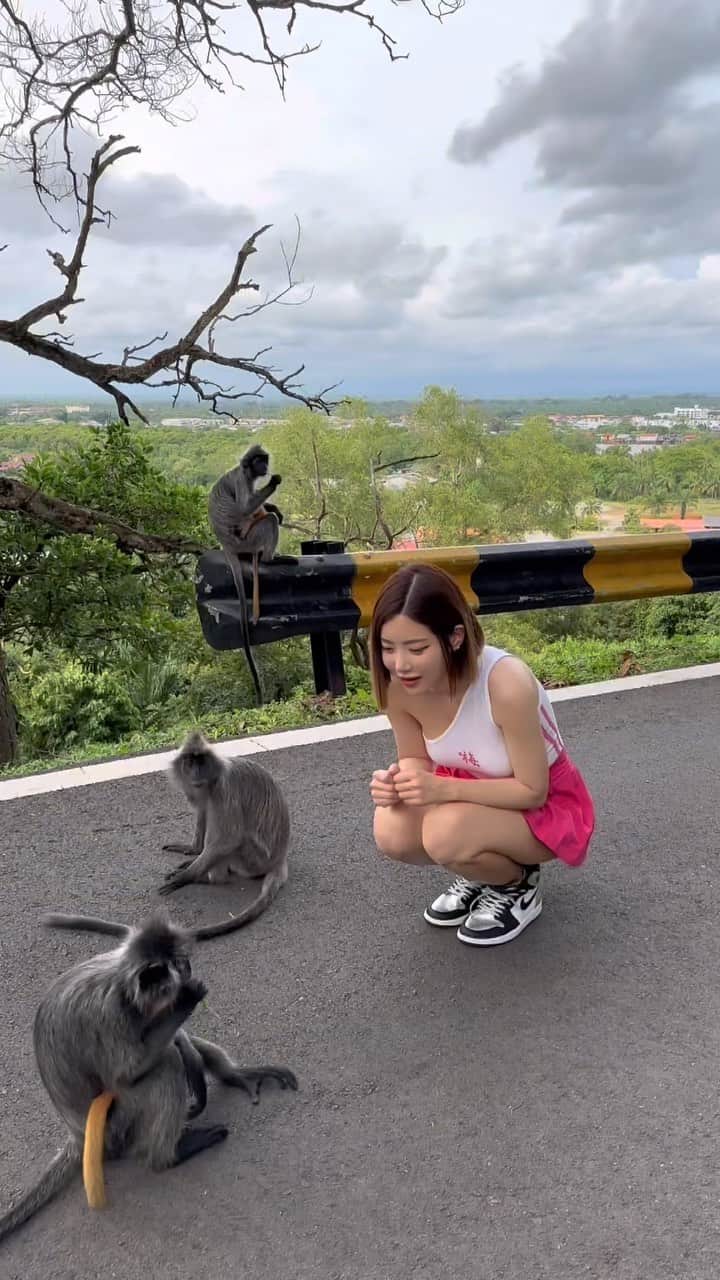 Dj Sodaのインスタグラム：「@kidimi87 오늘 원숭이들을 보러 갔는데 간식을 들고 있던 매니저님에게 원숭이떼들이 몰려들어서 매니저님이 다쳤어요😭😭여러분들도 원숭이 조심하세요!!!!!  I went to see monkeys today, and my manager who was holding food got attacked by bunch of them. He got injured in the end, and I‘m very sad about it 😭😔 Please be cautious when you see monkeys 🐒」