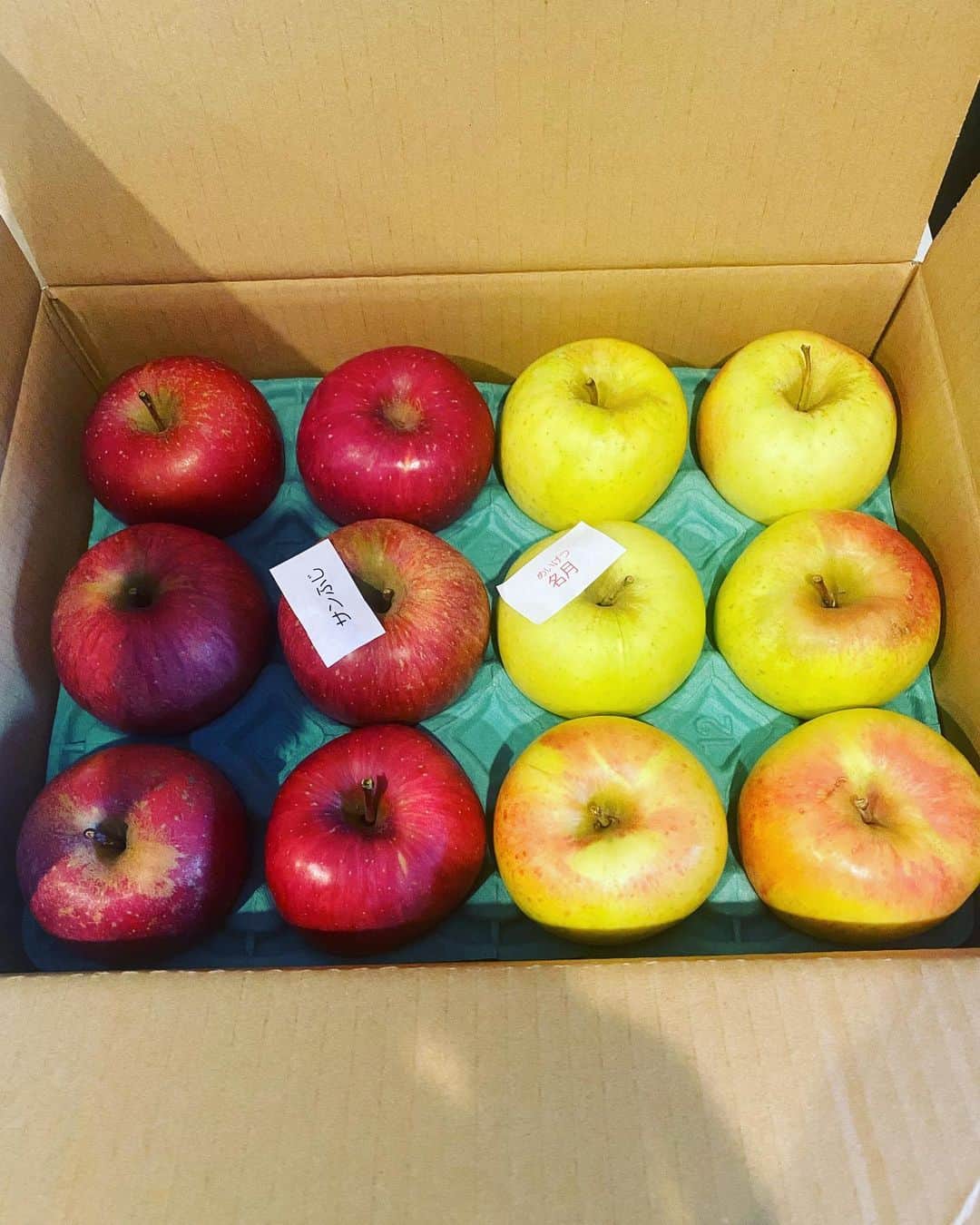 伊志嶺翔大のインスタグラム：「安曇野ファミリー農産さんからりんご頂きました🍎 とても甘くて美味しいです‼️‼️ ありがとうございます😊 #安曇野ファミリー農産ナカムラフルーツ農園」