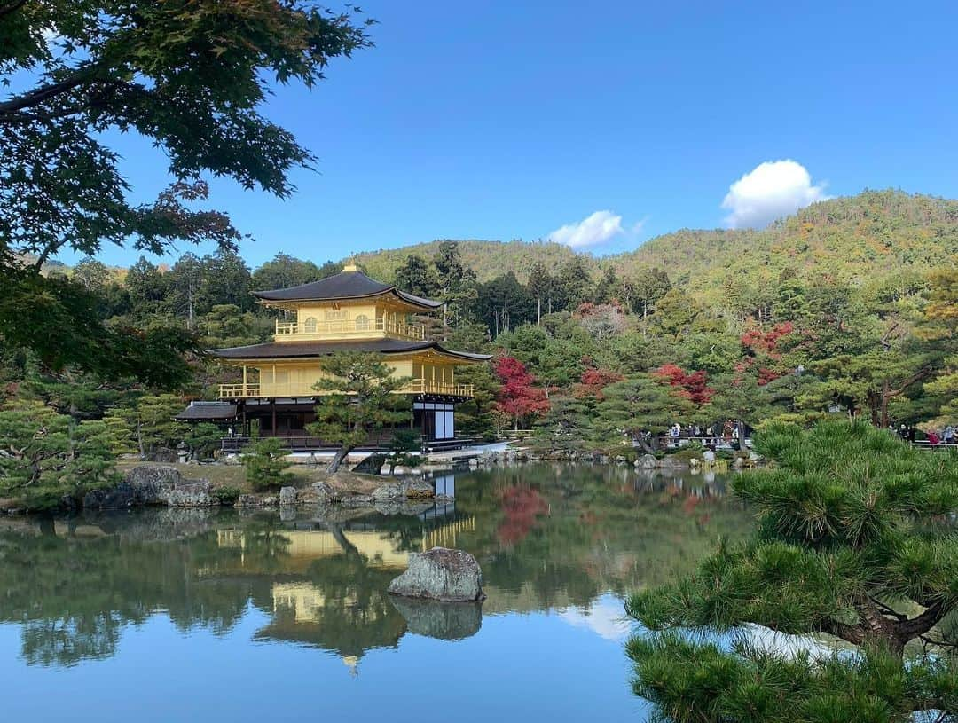 祐澄しゅんさんのインスタグラム写真 - (祐澄しゅんInstagram)「数日前ですが 京都へ旅行に行ってきました！ 旅行支援は全然間に合わず😅 普通に近場で家族旅行行きました😊 久しぶりの旅行。 安い割に新しいからか良かったホテルと 格式高いけど…なホテル🏨 どちらも広い部屋とベットでゆっくり過ごしました♪ また行けます様に…🙏✨ #京都旅行 #京都観光 #二条城 #金閣寺 #清水寺 #東寺 #伏見稲荷大社 #アーバンホテル京都四条プレミアム #リーガロイヤルホテル京都 #京都駅 #京都タワー #祐澄しゅん」11月20日 13時37分 - satchy725