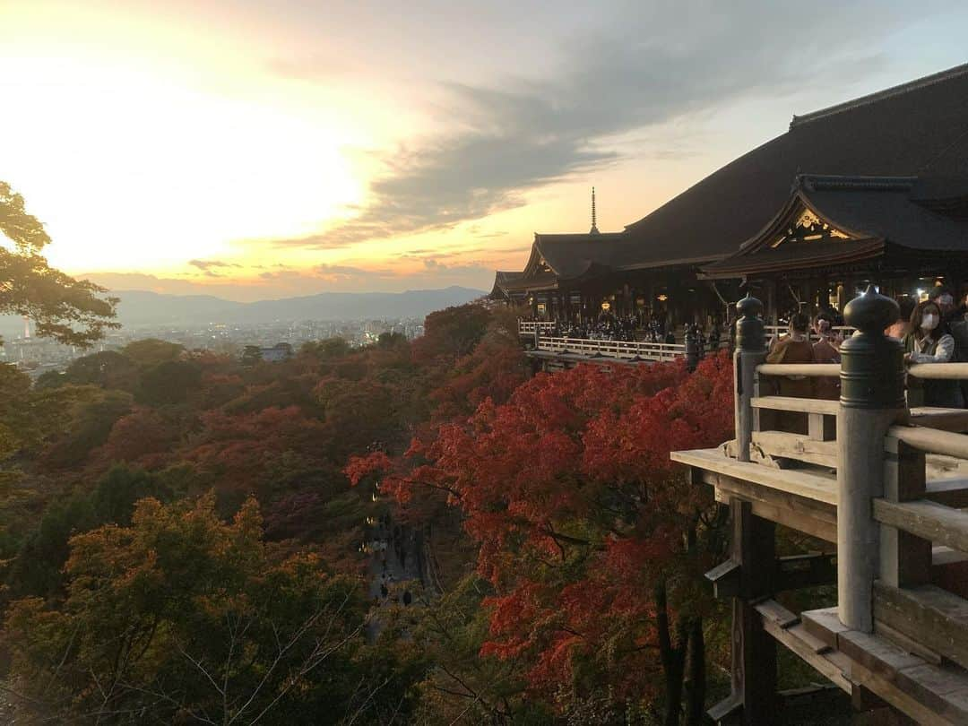 祐澄しゅんさんのインスタグラム写真 - (祐澄しゅんInstagram)「数日前ですが 京都へ旅行に行ってきました！ 旅行支援は全然間に合わず😅 普通に近場で家族旅行行きました😊 久しぶりの旅行。 安い割に新しいからか良かったホテルと 格式高いけど…なホテル🏨 どちらも広い部屋とベットでゆっくり過ごしました♪ また行けます様に…🙏✨ #京都旅行 #京都観光 #二条城 #金閣寺 #清水寺 #東寺 #伏見稲荷大社 #アーバンホテル京都四条プレミアム #リーガロイヤルホテル京都 #京都駅 #京都タワー #祐澄しゅん」11月20日 13時37分 - satchy725