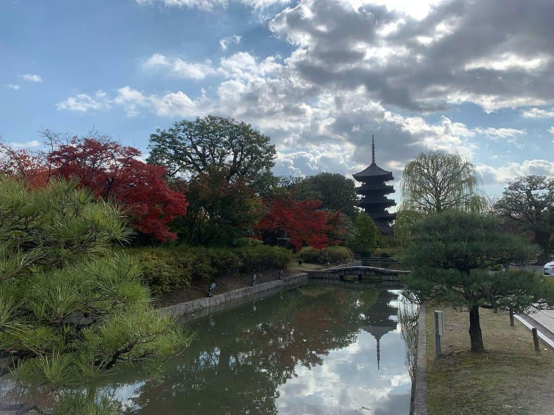 祐澄しゅんさんのインスタグラム写真 - (祐澄しゅんInstagram)「数日前ですが 京都へ旅行に行ってきました！ 旅行支援は全然間に合わず😅 普通に近場で家族旅行行きました😊 久しぶりの旅行。 安い割に新しいからか良かったホテルと 格式高いけど…なホテル🏨 どちらも広い部屋とベットでゆっくり過ごしました♪ また行けます様に…🙏✨ #京都旅行 #京都観光 #二条城 #金閣寺 #清水寺 #東寺 #伏見稲荷大社 #アーバンホテル京都四条プレミアム #リーガロイヤルホテル京都 #京都駅 #京都タワー #祐澄しゅん」11月20日 13時37分 - satchy725