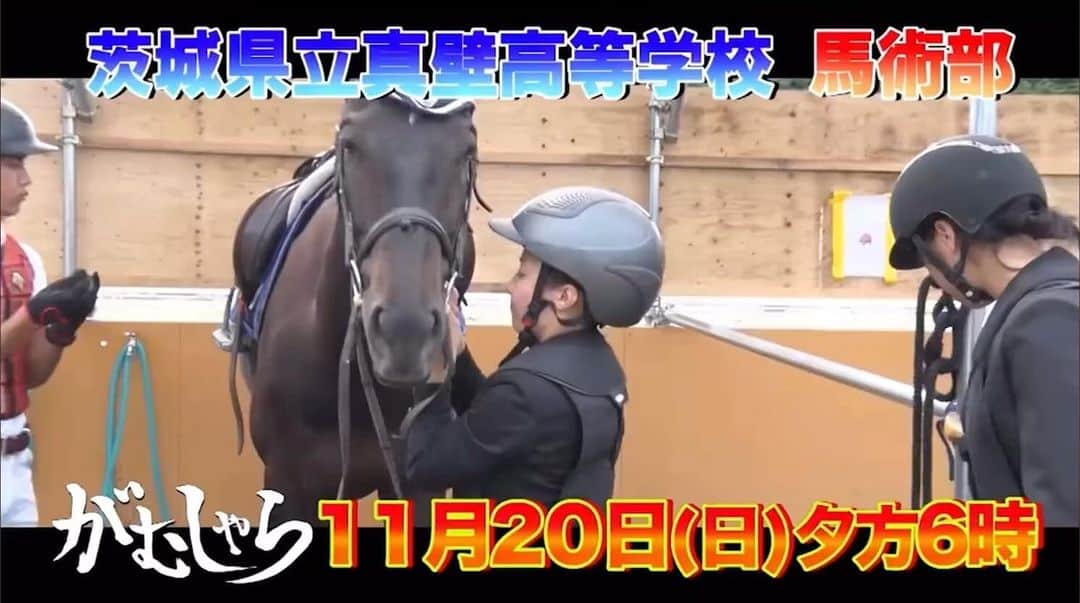 藤原一裕のインスタグラム：「『がむしゃら』 BS松竹東急 18:00〜  観てるとスリルありますよ！」