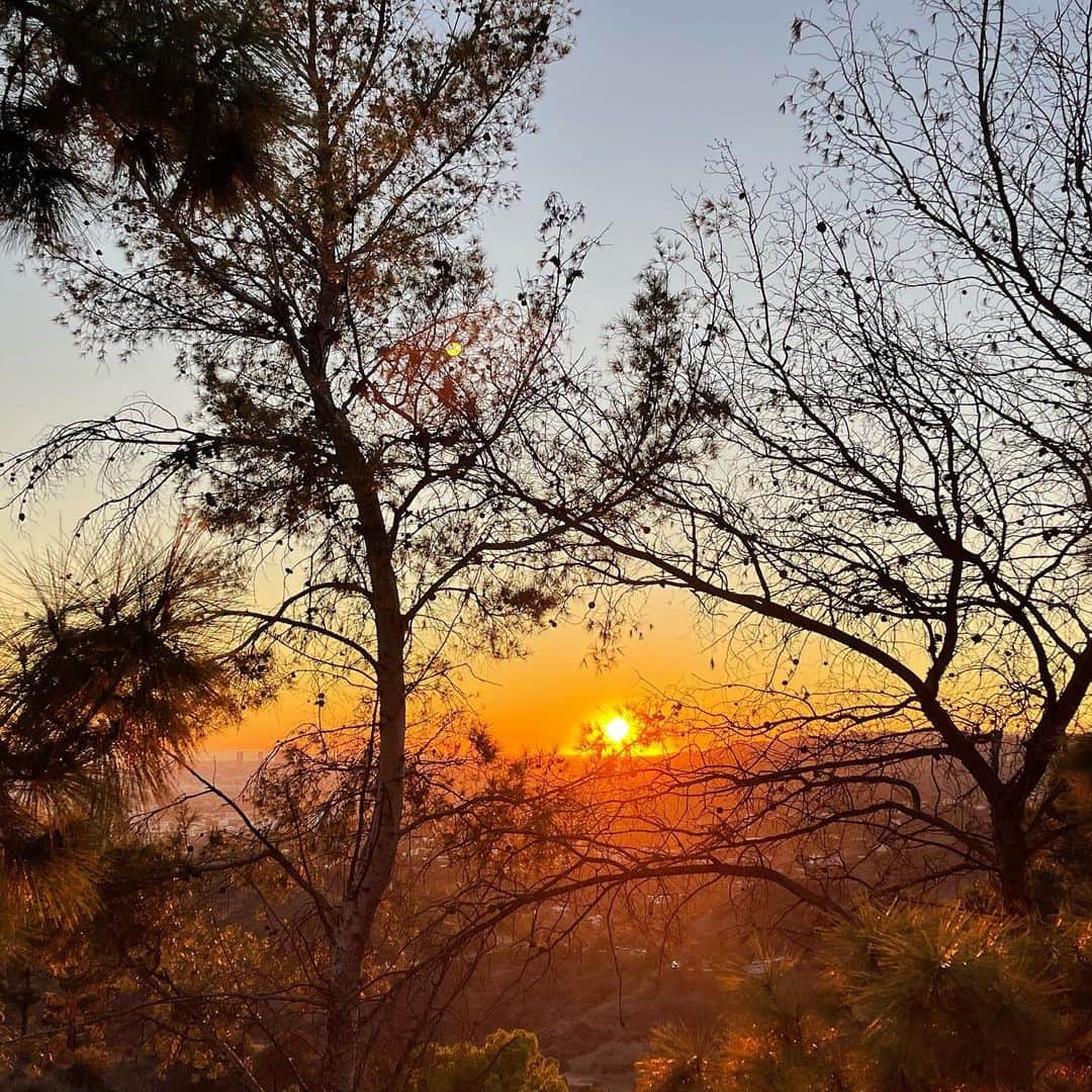 Leslie Camila-Roseさんのインスタグラム写真 - (Leslie Camila-RoseInstagram)「The sky is spoiling us lately…  November 2022. Los Angeles 🌅 #sunsetskyline #sunsethike #sunsetwalk #hiking🌲 #hollywoodhills」11月20日 6時08分 - leslie_coutterand