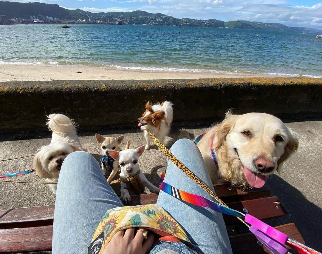 ステファニア・ラビー・オーウェンのインスタグラム：「A whole lotta cuteness」