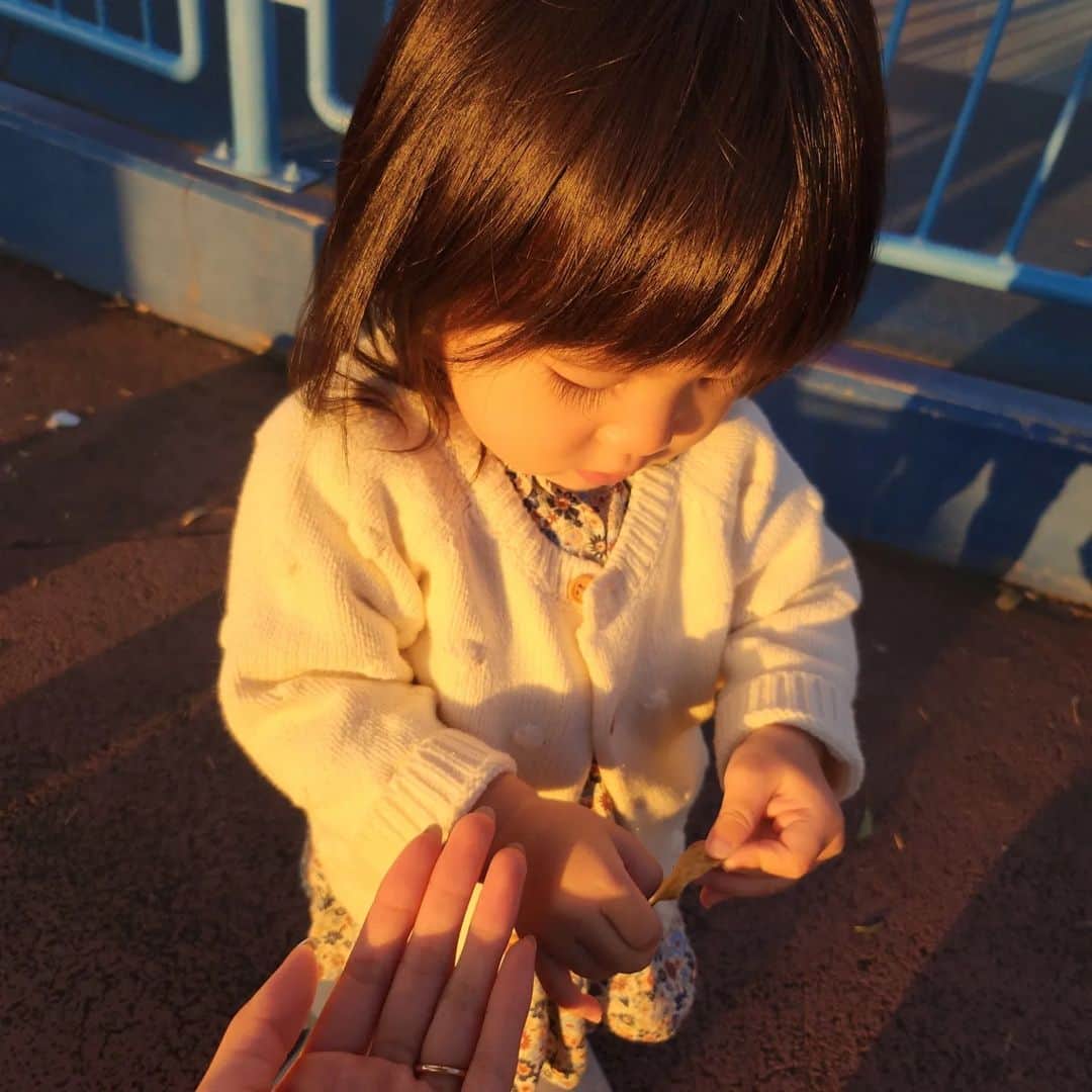 松田栞さんのインスタグラム写真 - (松田栞Instagram)「ひらパー🎠🎡」11月20日 10時05分 - s_04pupu