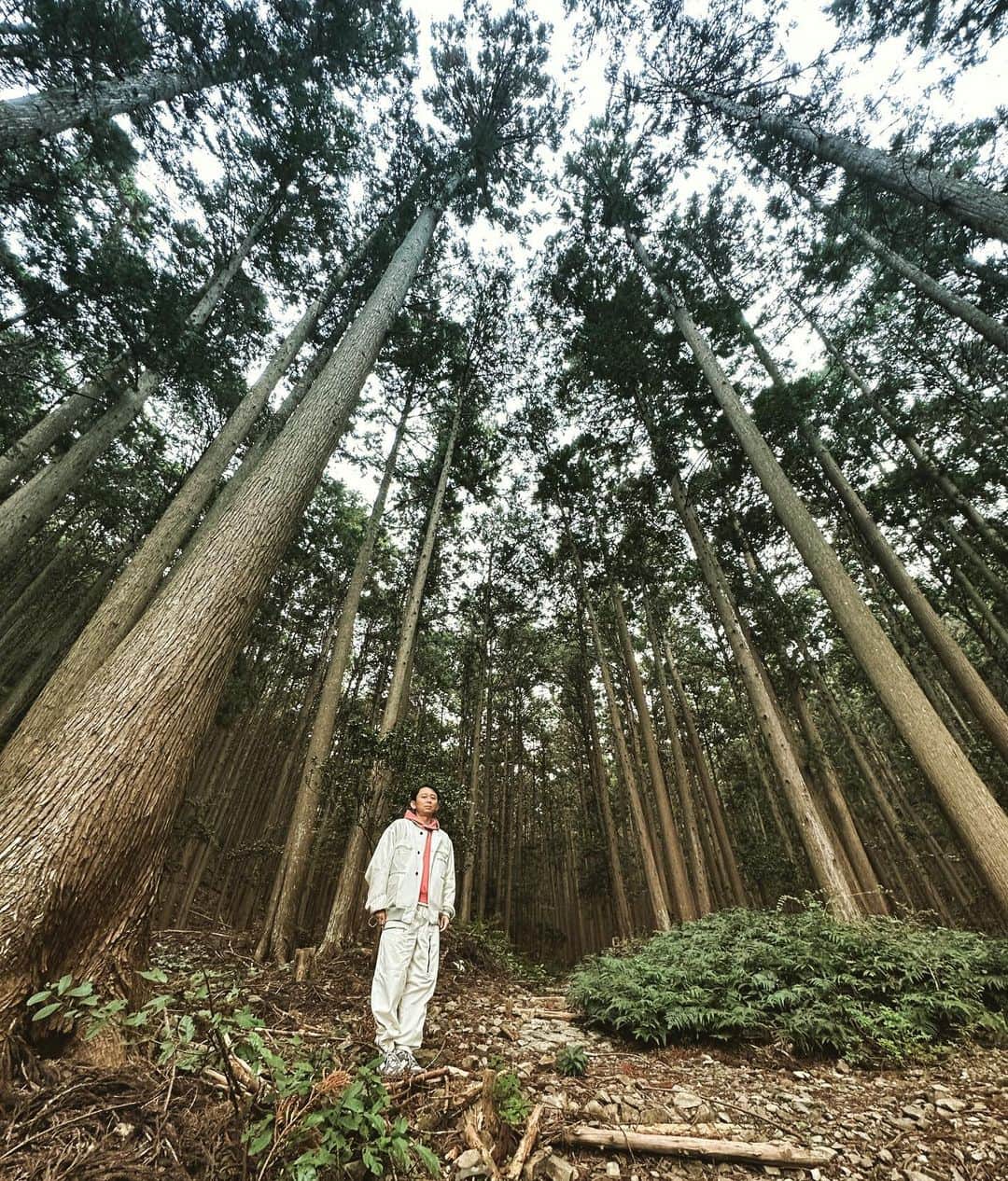 有吉弘行さんのインスタグラム写真 - (有吉弘行Instagram)「アレがいる森。」11月20日 12時50分 - ariyoshihiroiki