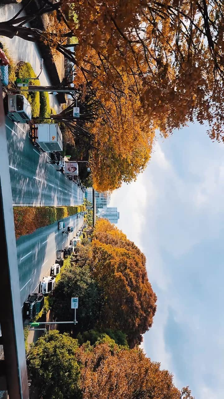 井上ジョーのインスタグラム：「Japan Autumn 2022 #japan #cinematic #samsunggalaxy   All rights belong to @inouejoe」