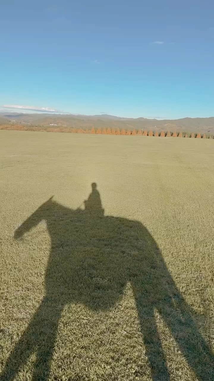 紗栄子のグルメインスタ