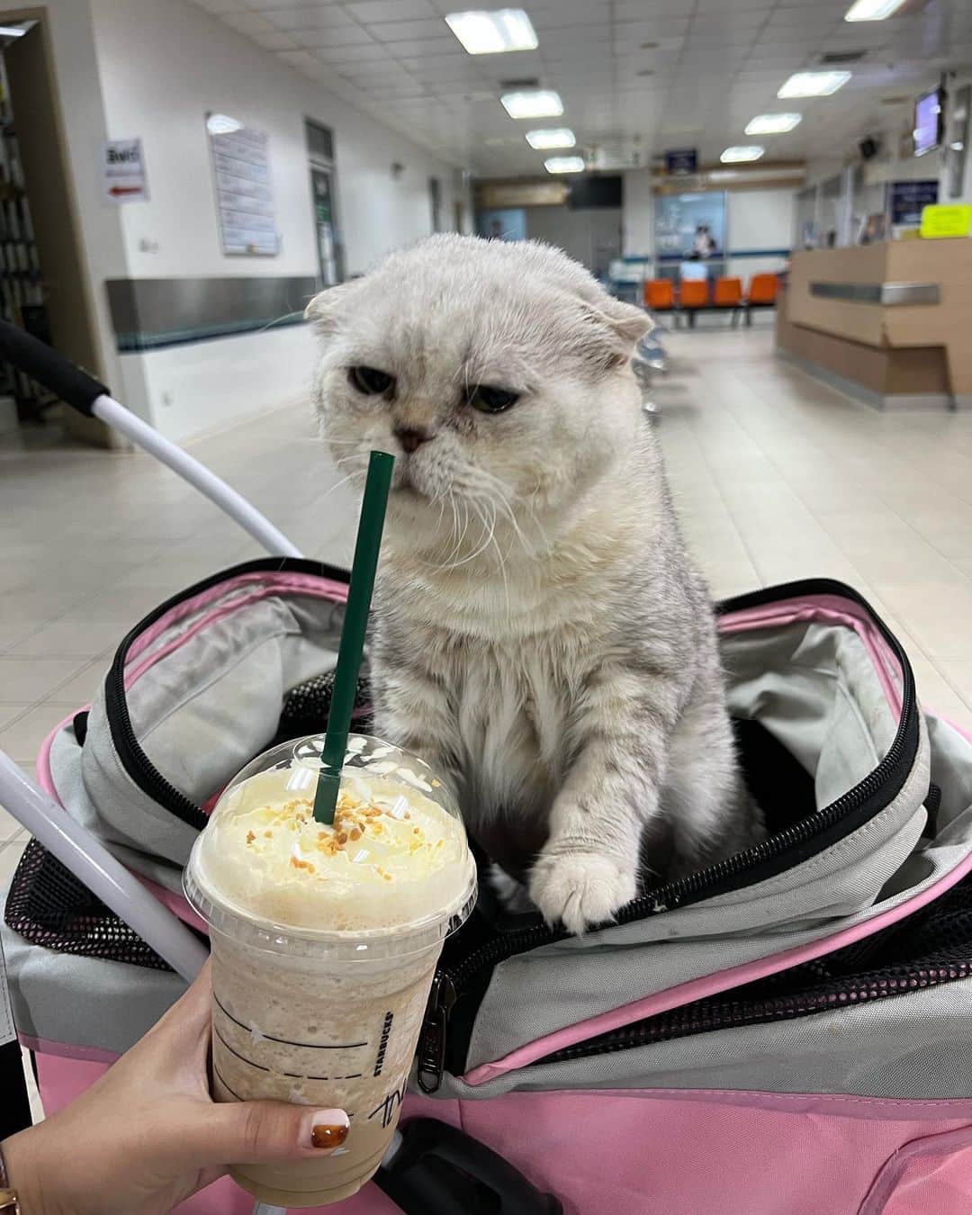 Haruのインスタグラム