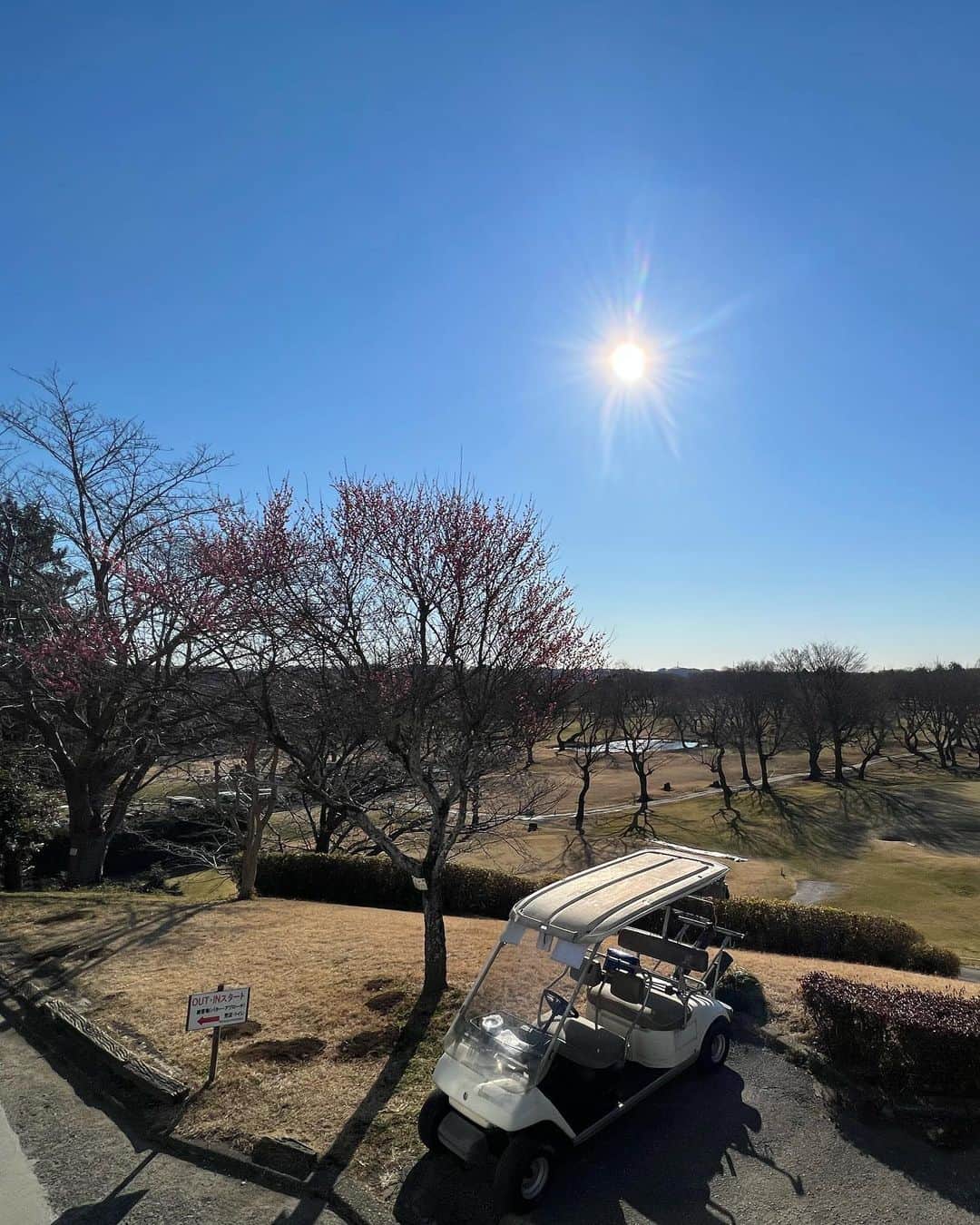 小川千尋さんのインスタグラム写真 - (小川千尋Instagram)「ゴルフ‼︎ これは今年の1月に行った時の⛳️  #ゴルフ#ゴルフ女子 #ゴルフウェア #ゴルフコーデ #ゴルフ好き #golf」11月20日 19時13分 - oga_chi84