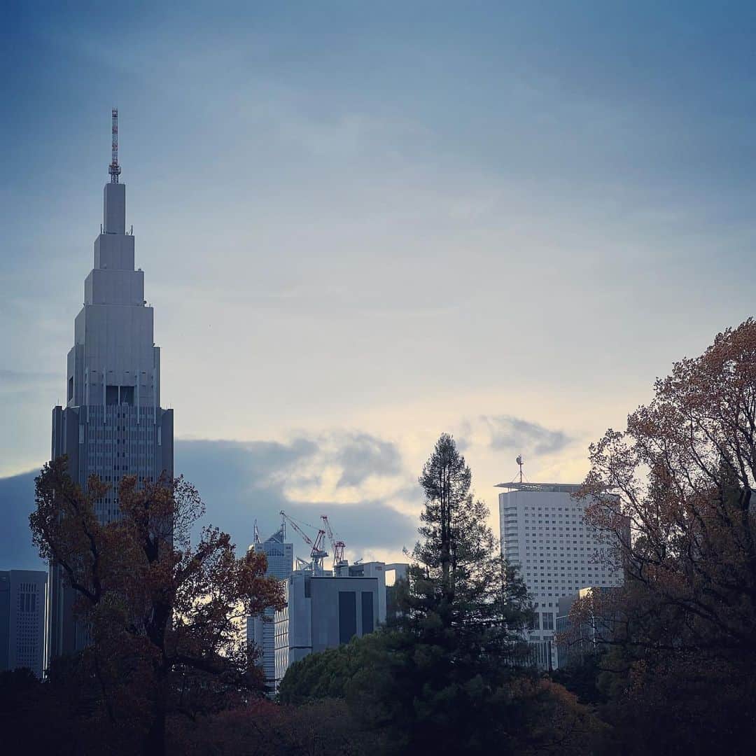未来弥のインスタグラム：「休日は家族でよく公園にいきますが、これが一番のリフレッシュ！ 頑張る上でモチベーションってすごく大事だなと感じる今日この頃。 日々の積み重ねを大切にもっともっと頑張ります！  #japan #garden #motivation ##起業家 #モチベーション #家族 #公園」