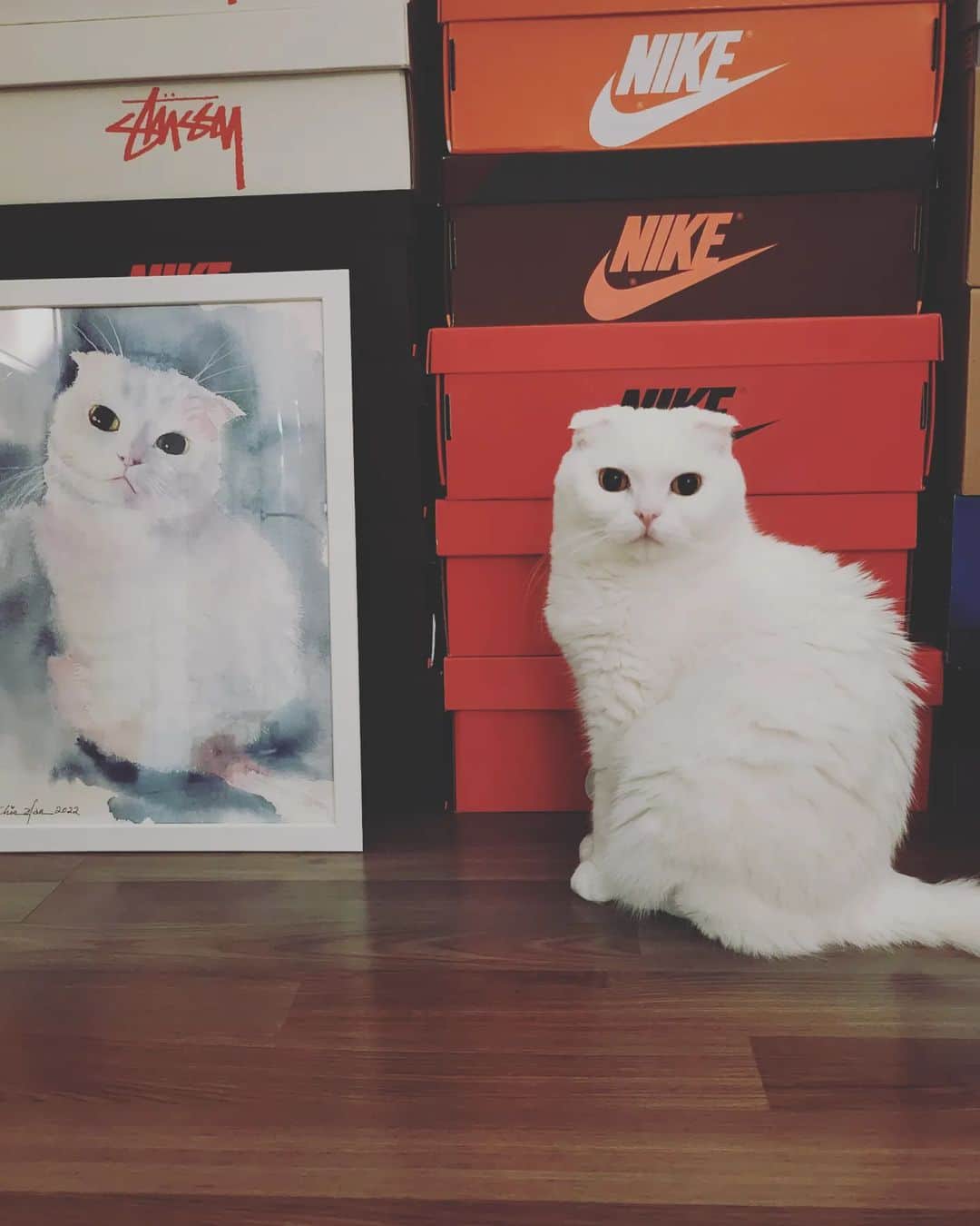 コン・ユのインスタグラム