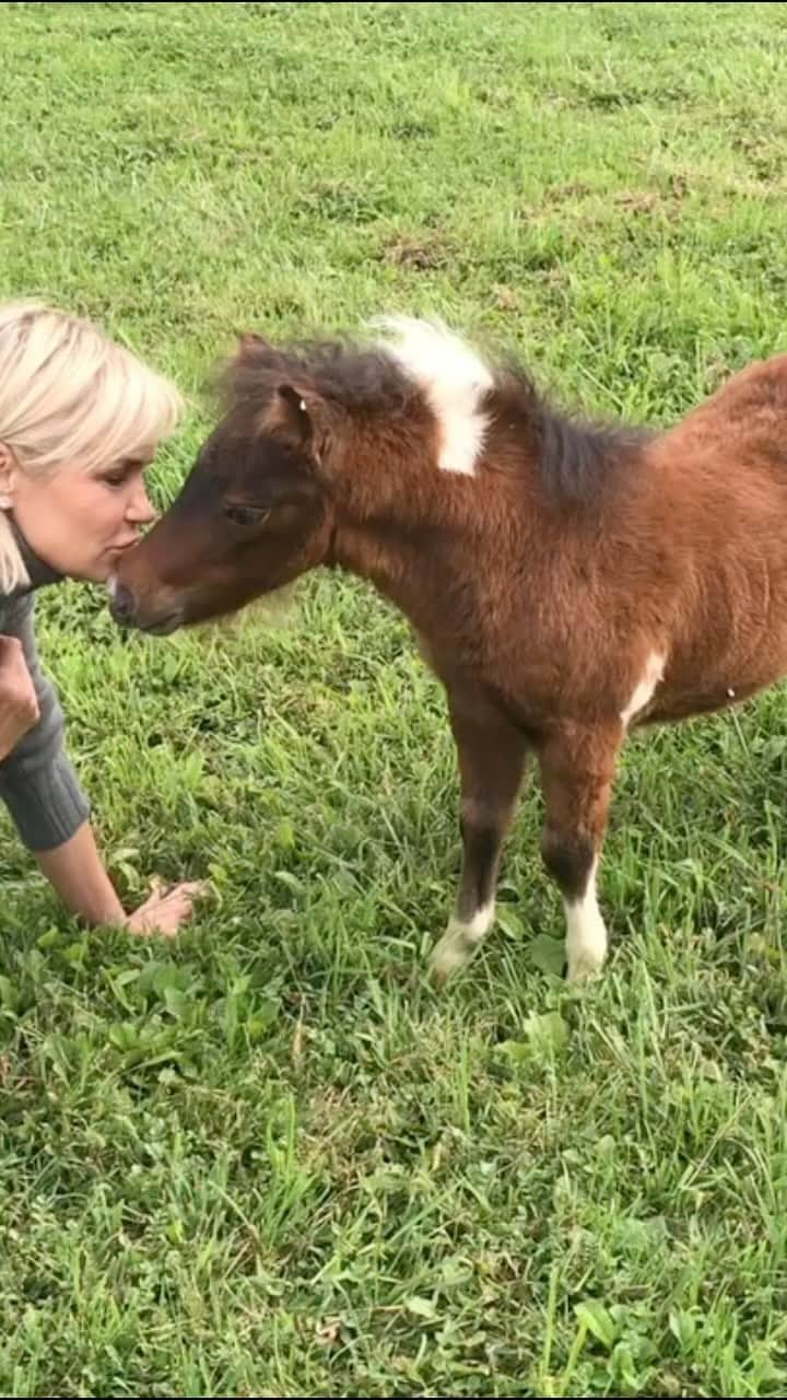 ヨランダ・ハディッドのインスタグラム：「❤️Love at first sight….」