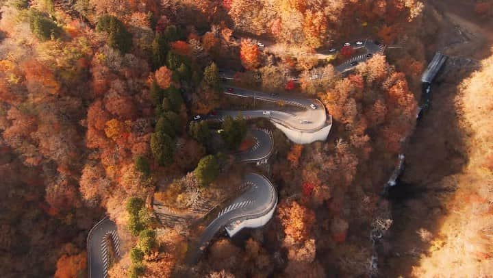 下山裕貴のインスタグラム：「Koyo autumn leaves at Nikko🍁 Always wanted to do aerial shots over this Iroha winding road. One off my bucket list.  #autumn #autumnleaves #japan #nikko #tochigi #drone #dji #djifpv #aerialshot #dronevideo」