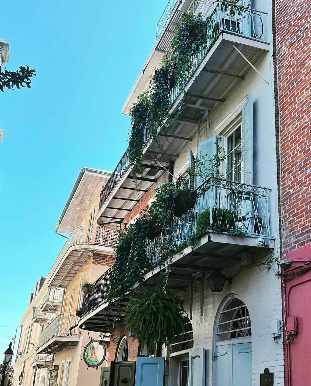 スキン・ダイアモンドさんのインスタグラム写真 - (スキン・ダイアモンドInstagram)「So many things to see ✨🌙 #NewOrleans #takemeback #MarieLaveau」11月21日 11時52分 - rayjoycat